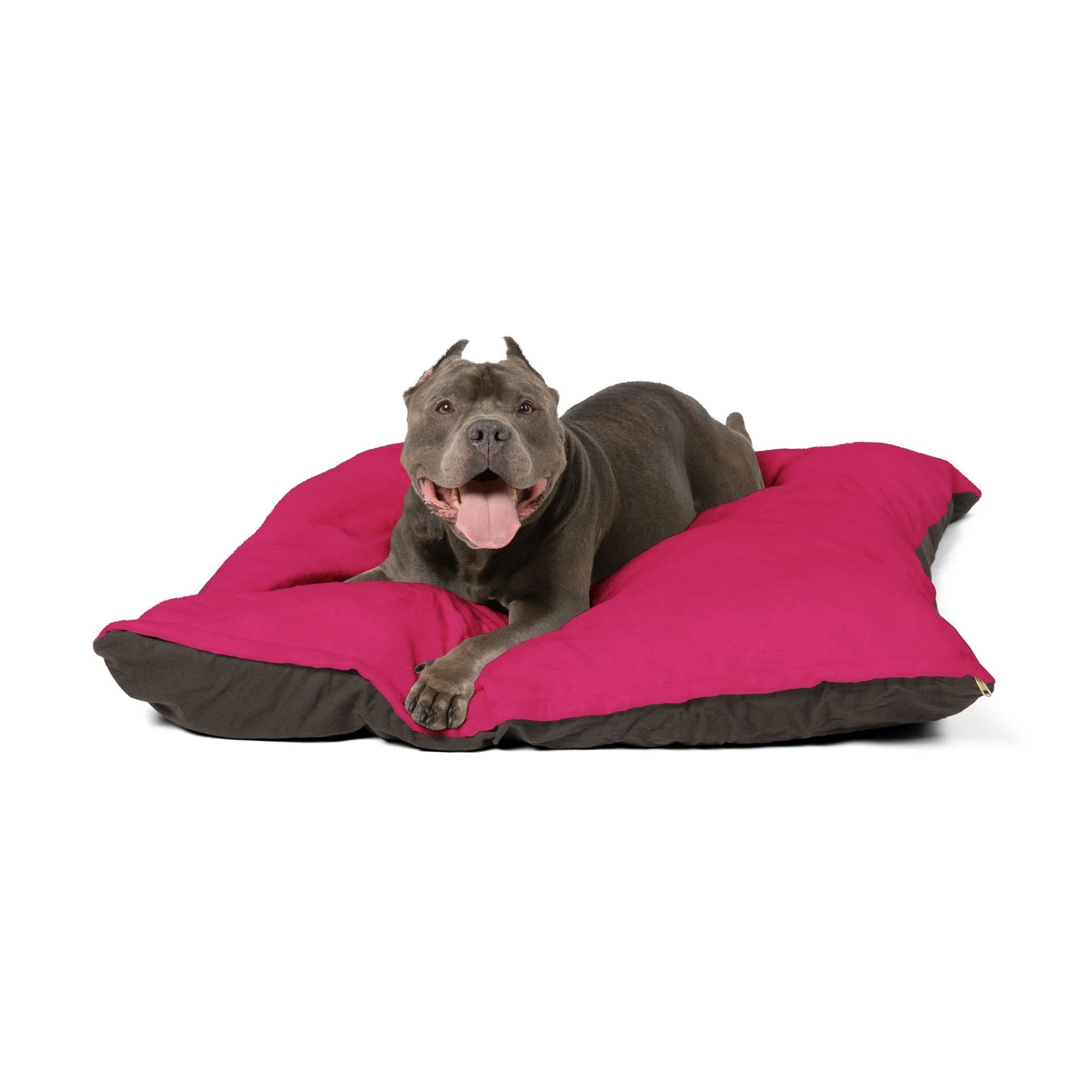 Buy The Best By Artsulli x Color Printify - Pet Bed - 2026