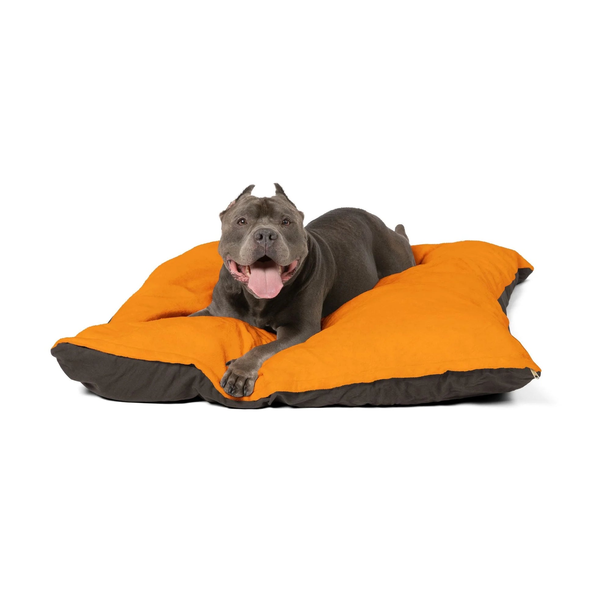 Buy The Best By Artsulli x Color Printify - Pet Bed - 2026