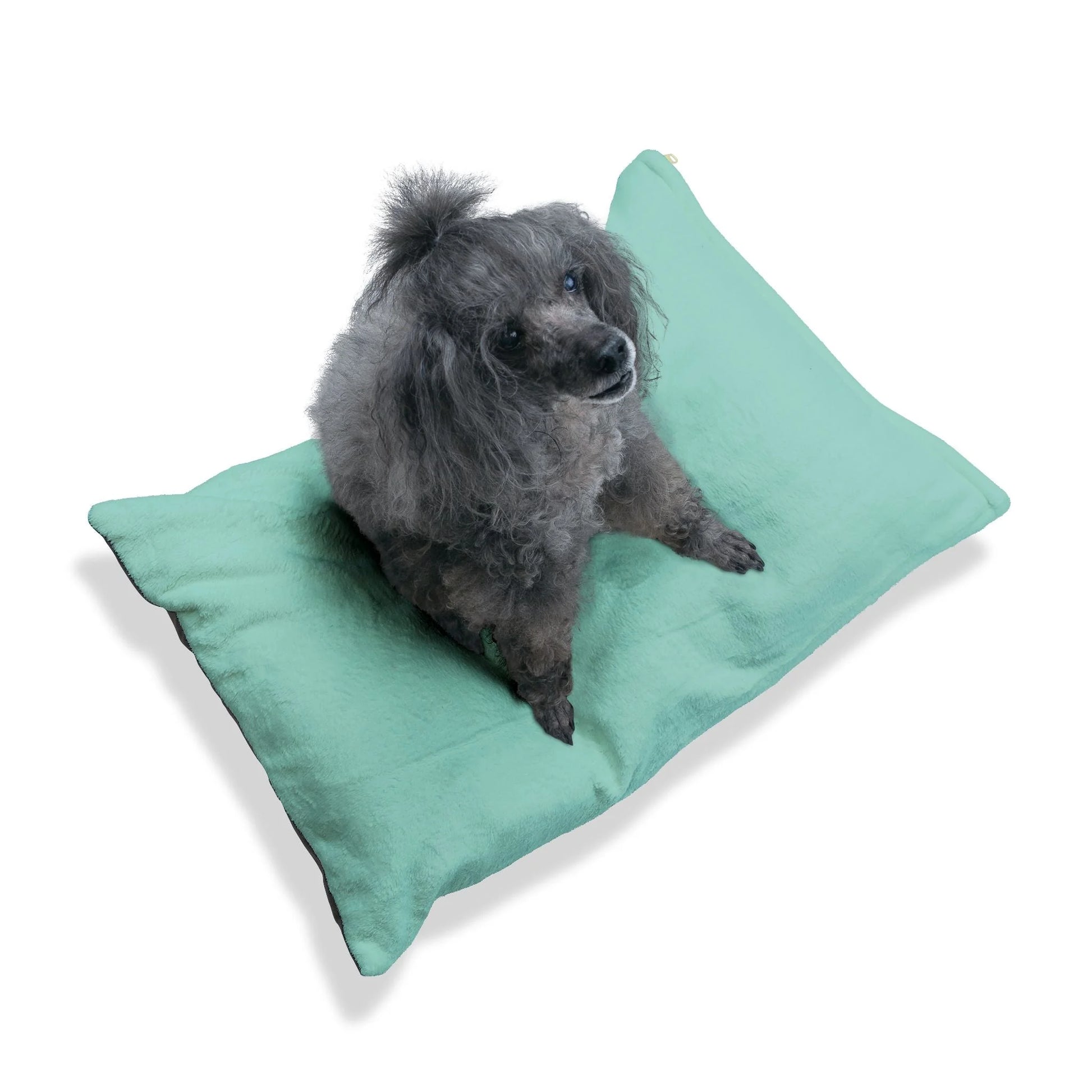 Buy The Best By Artsulli x Color Printify - Pet Bed - 2026