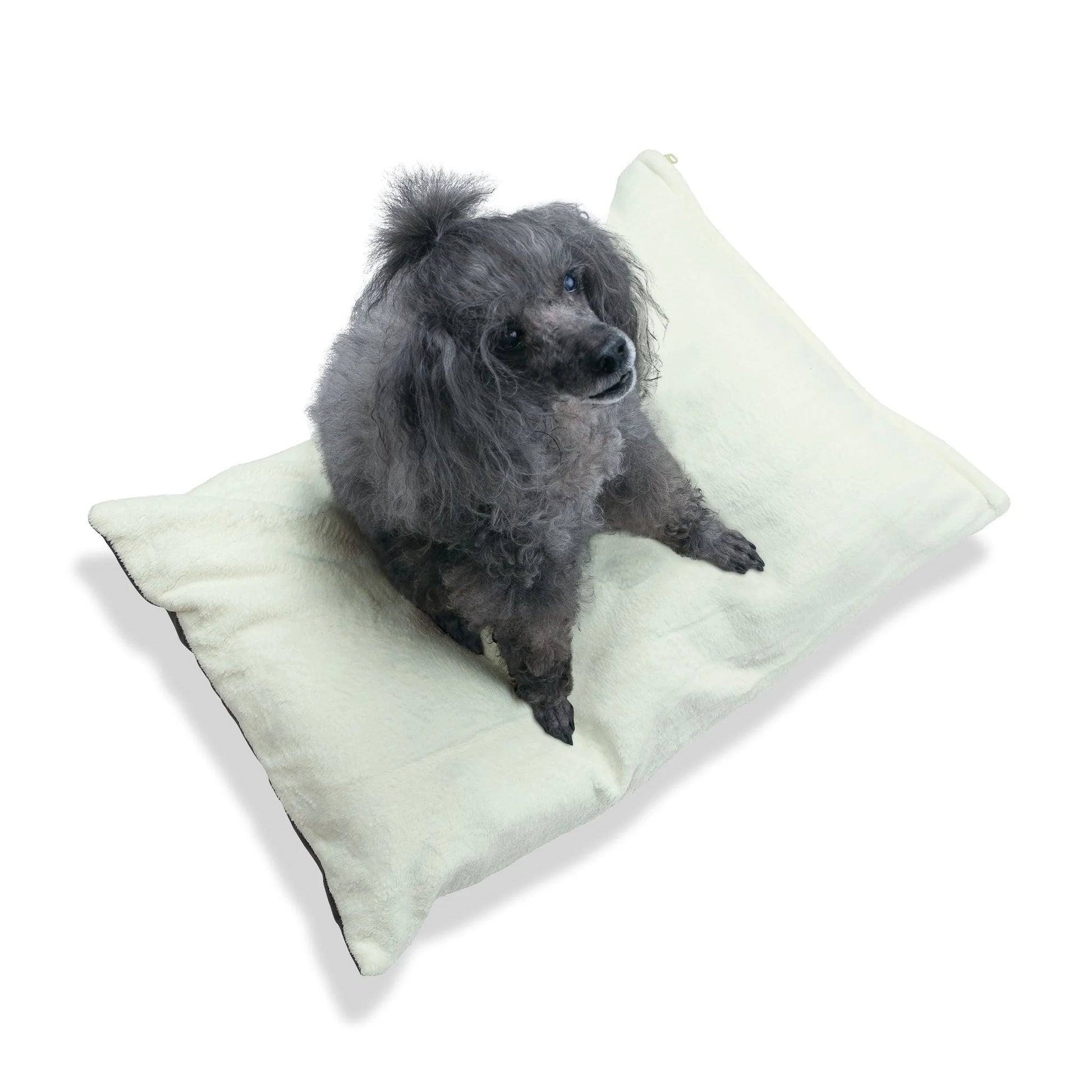 Buy The Best By Artsulli x Color Printify - Pet Bed - 2026
