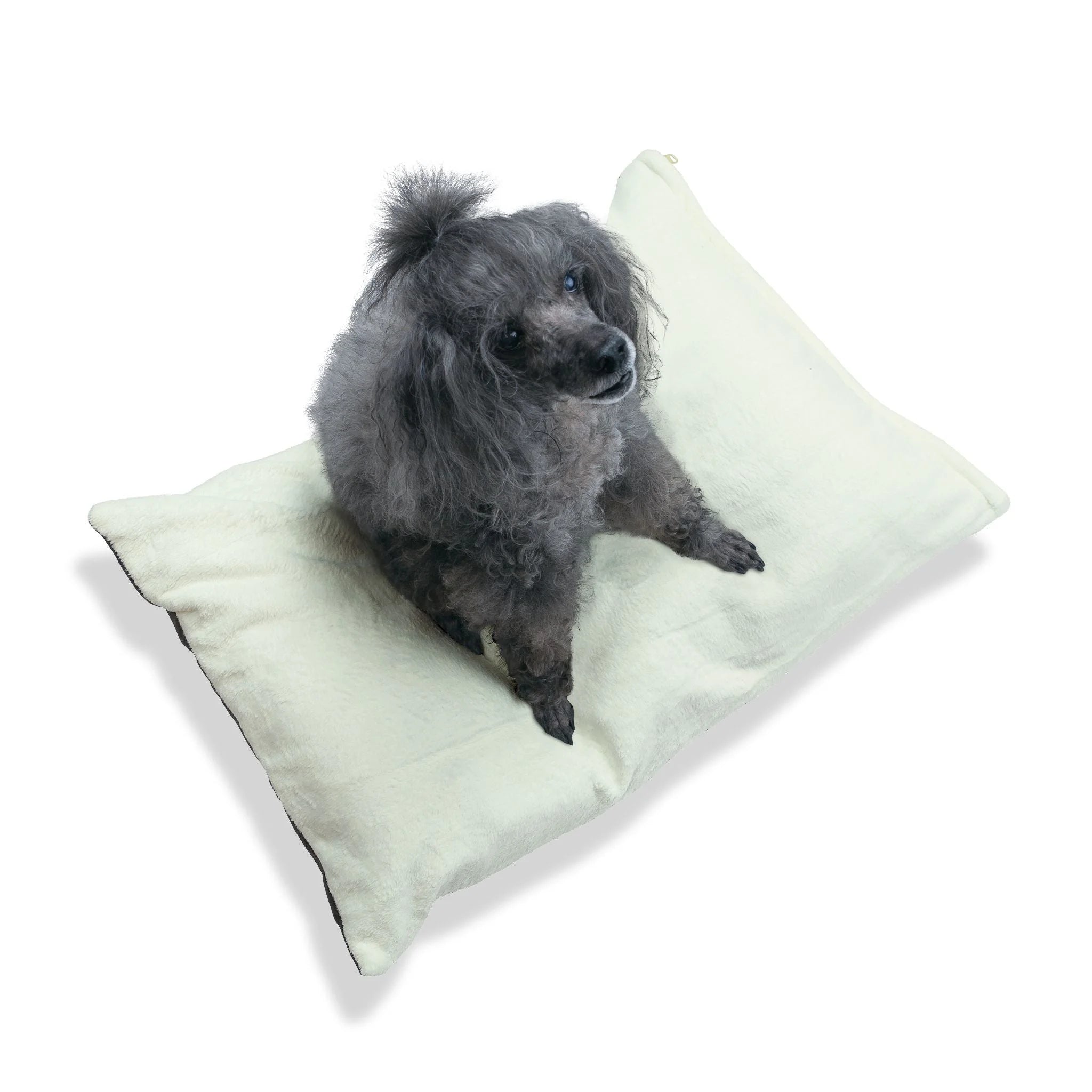 Buy The Best By Artsulli x Color Printify - Pet Bed - 2026