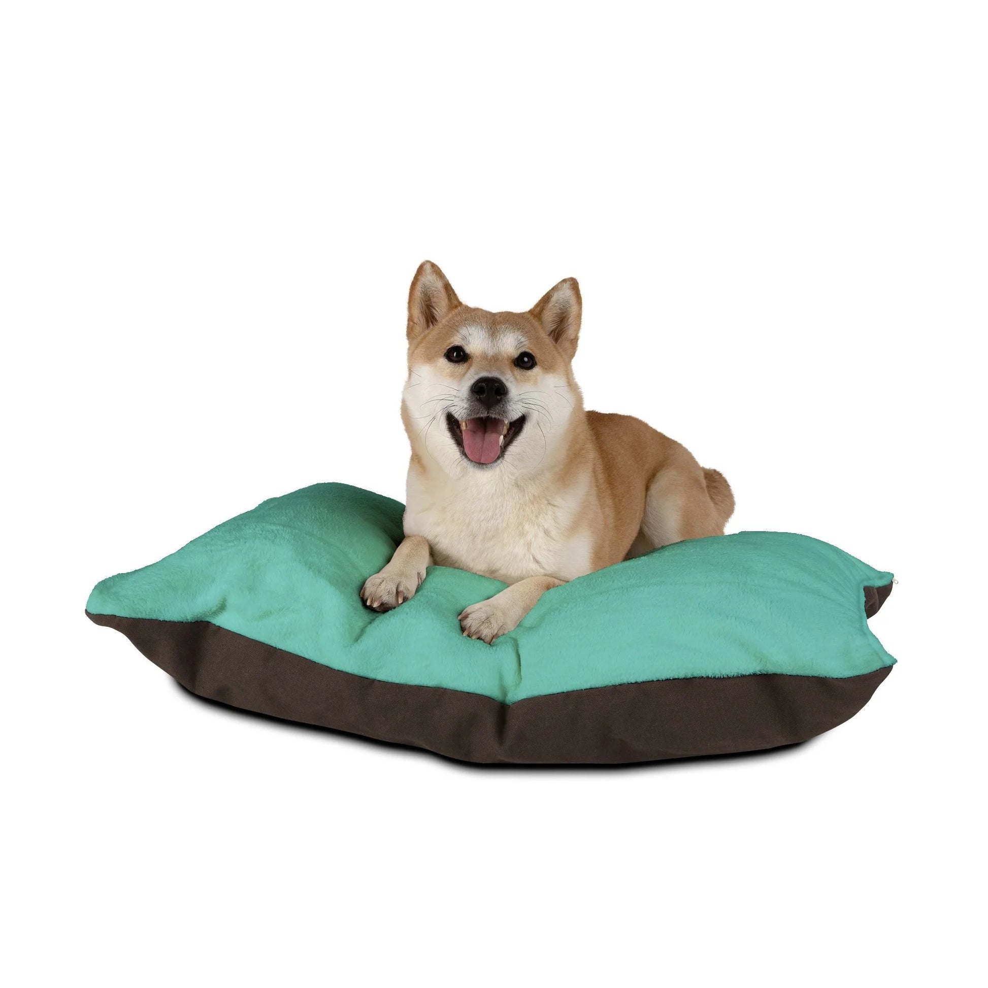 Buy The Best By Artsulli x Color Printify - Pet Bed - 2026