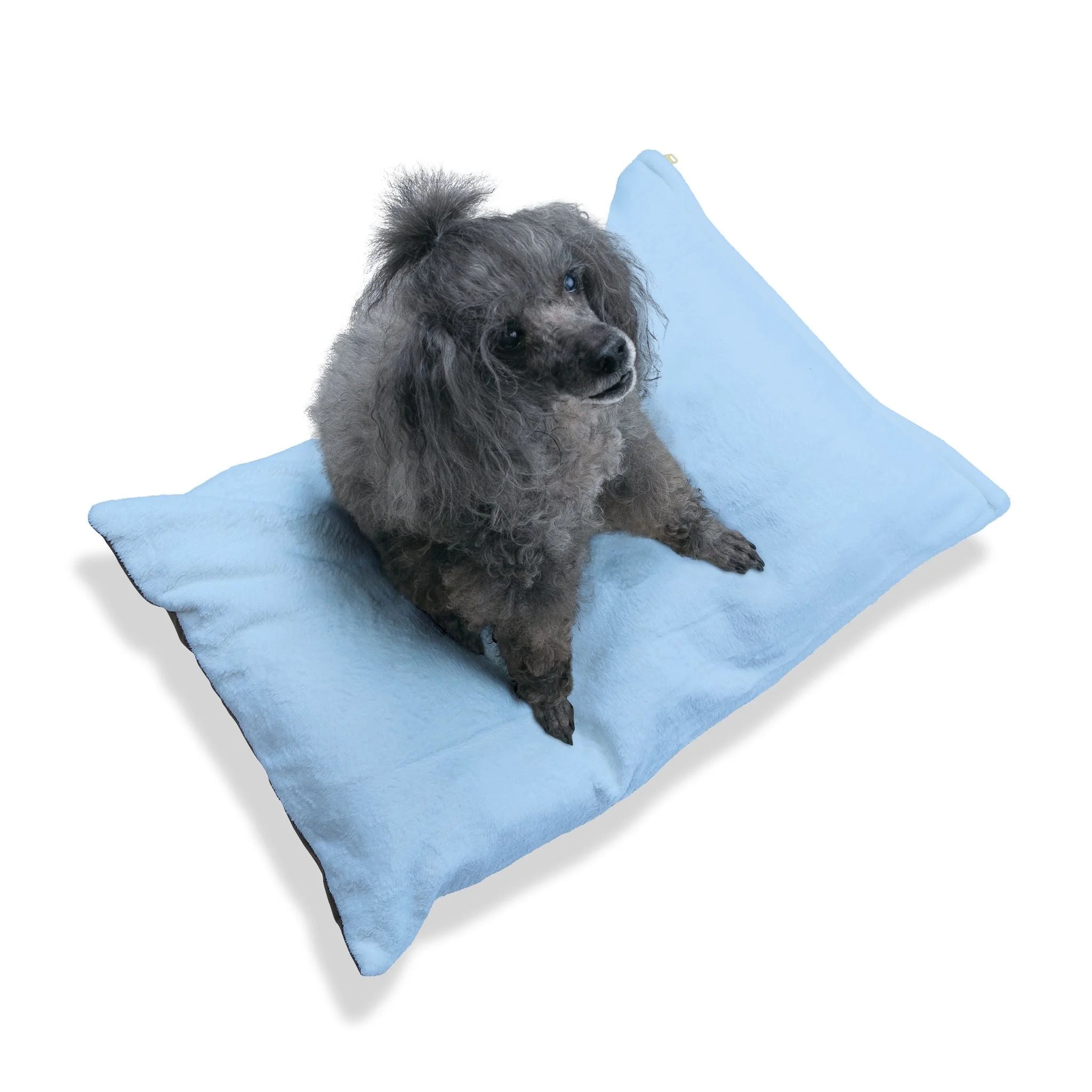 Buy The Best By Artsulli x Color Printify - Pet Bed - 2026