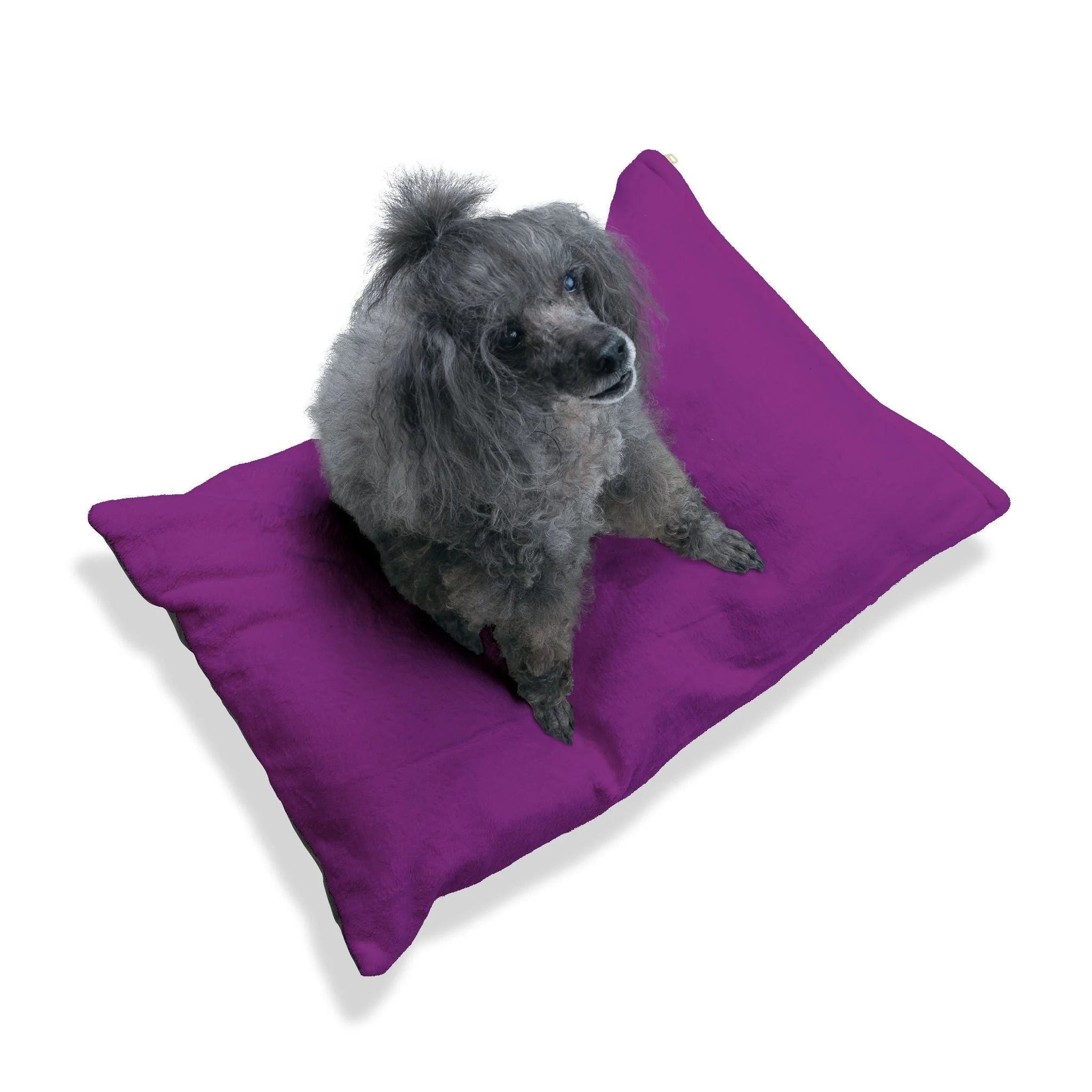 Buy The Best By Printify - Pet Bed - 2026