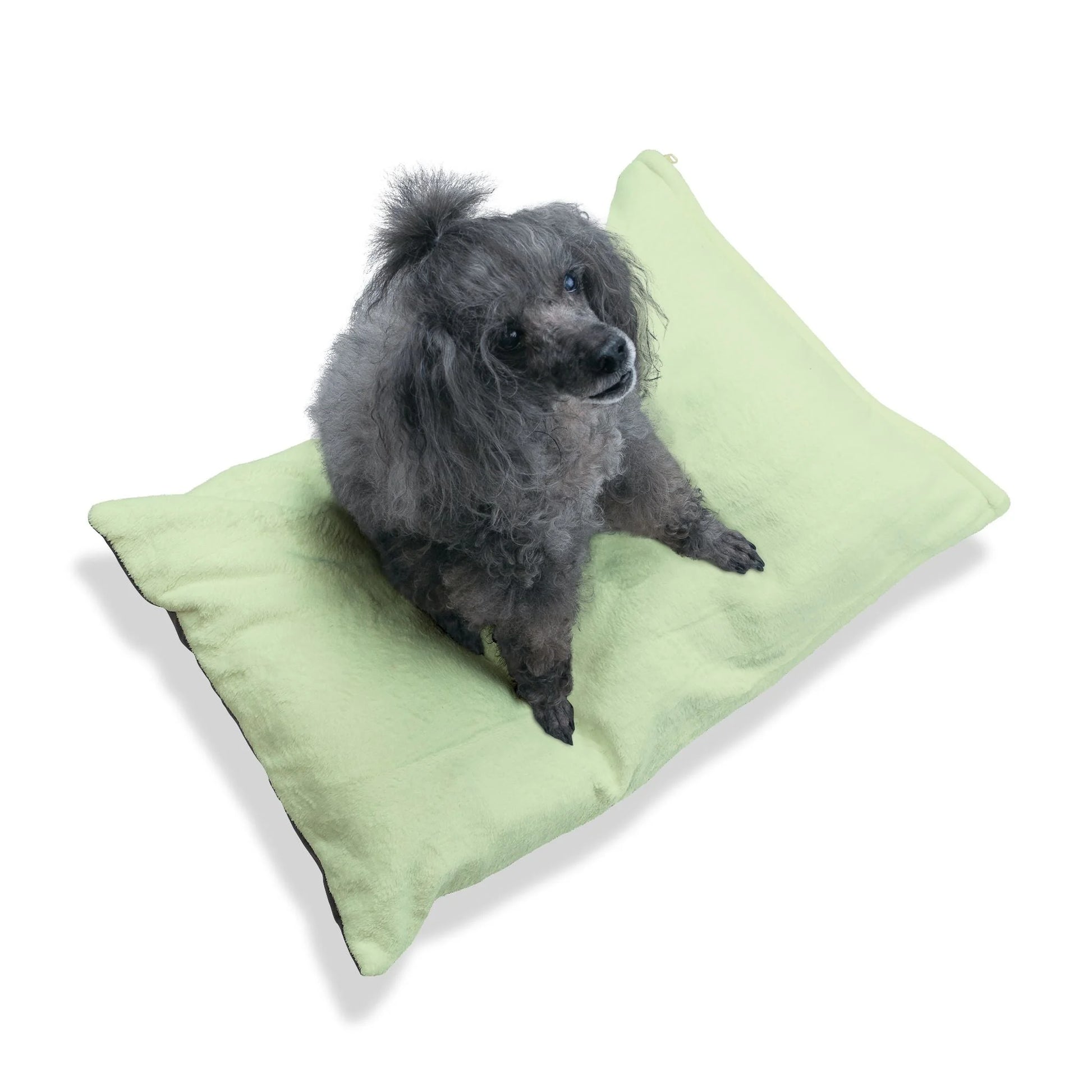 Buy The Best By Artsulli x Color Printify - Pet Bed - 2026