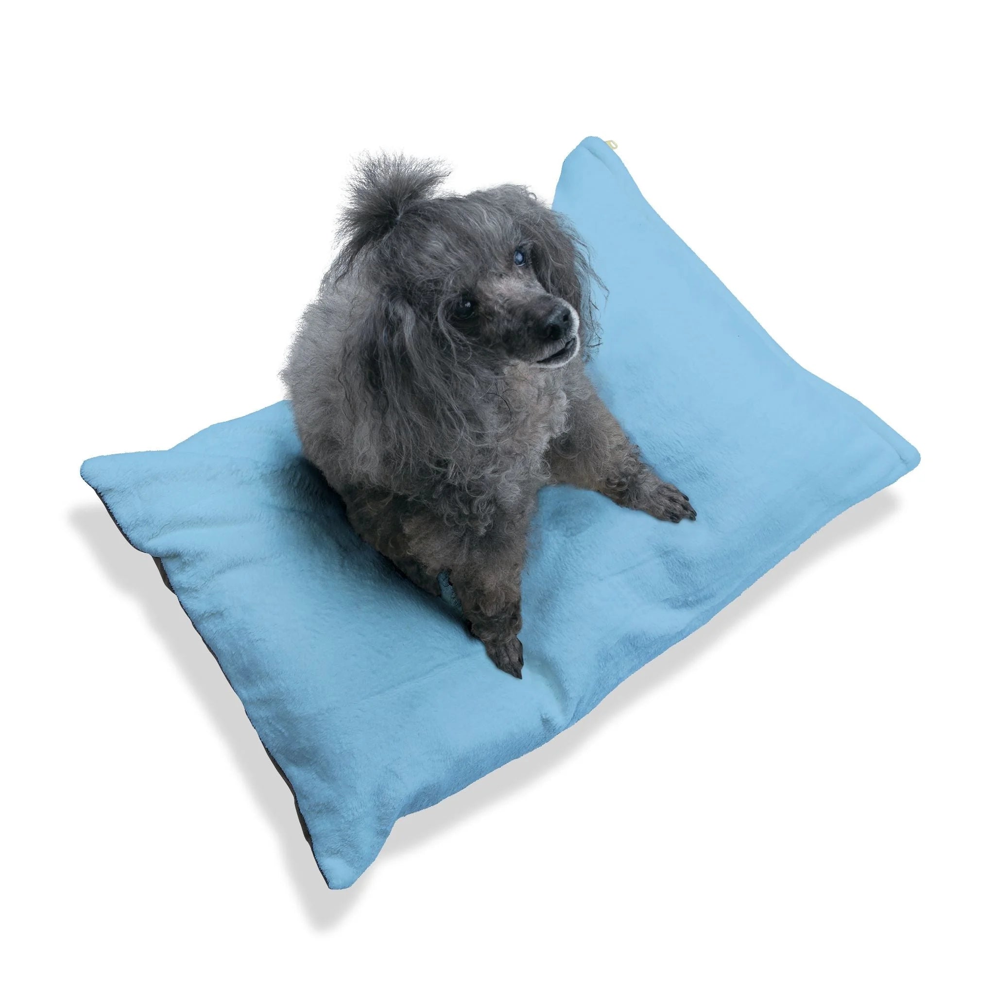 Buy The Best By Artsulli x Color Printify - Pet Bed - 2026
