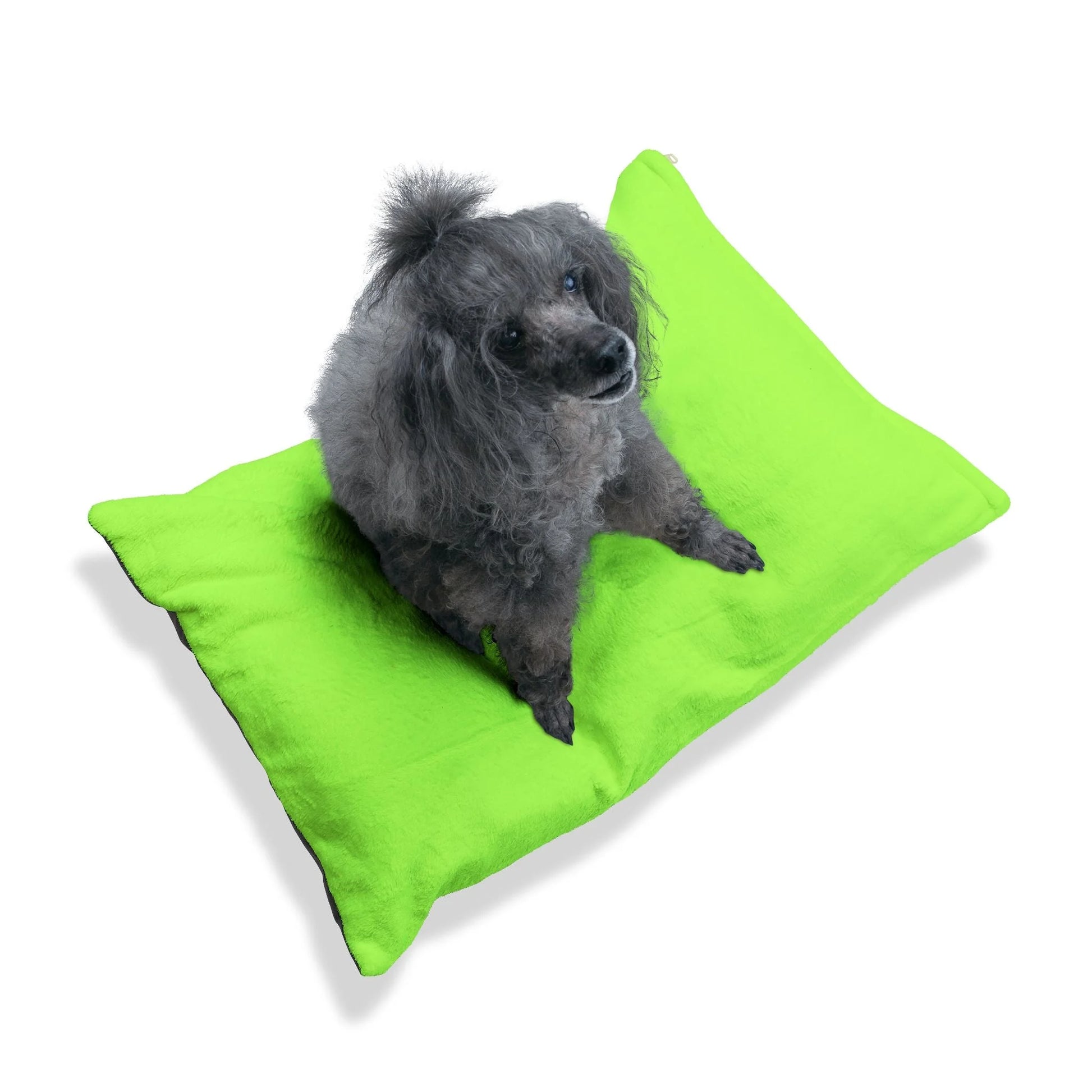 Buy The Best By Artsulli x Color Printify - Pet Bed - 2026