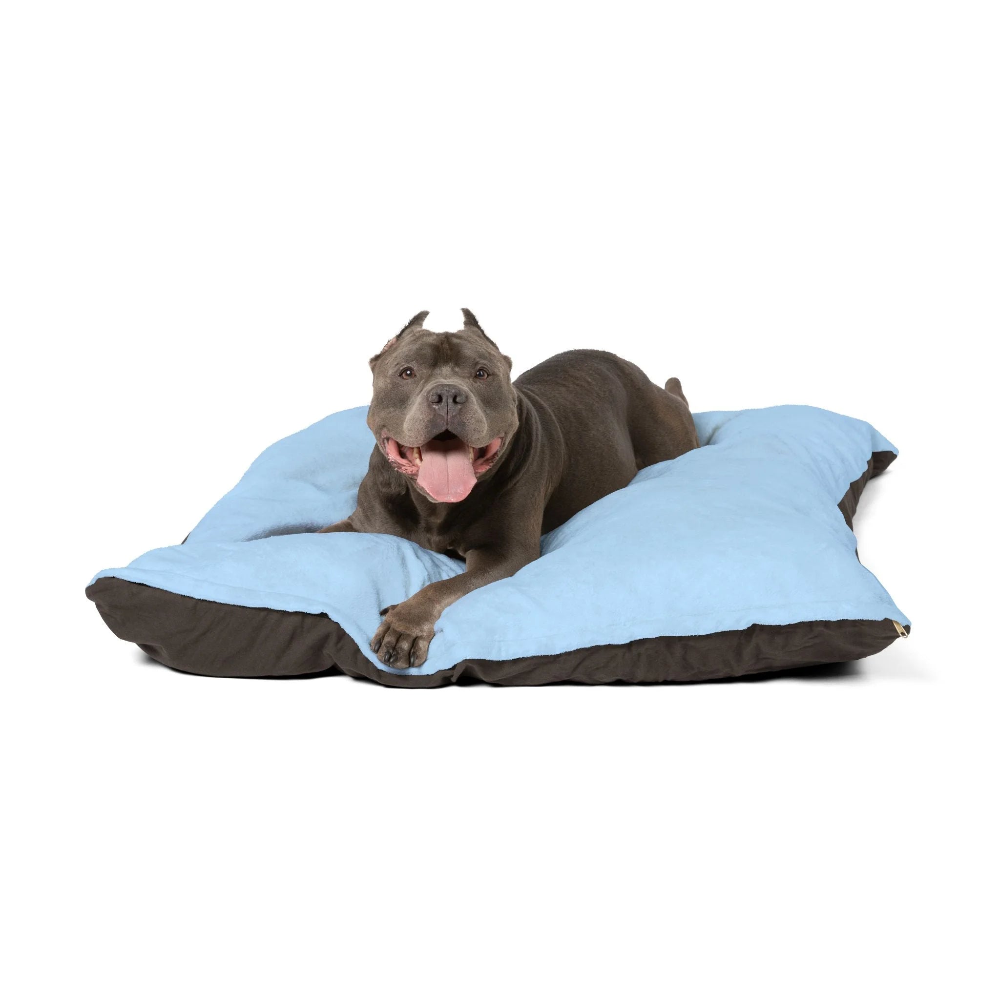 Buy The Best By Artsulli x Color Printify - Pet Bed - 2026