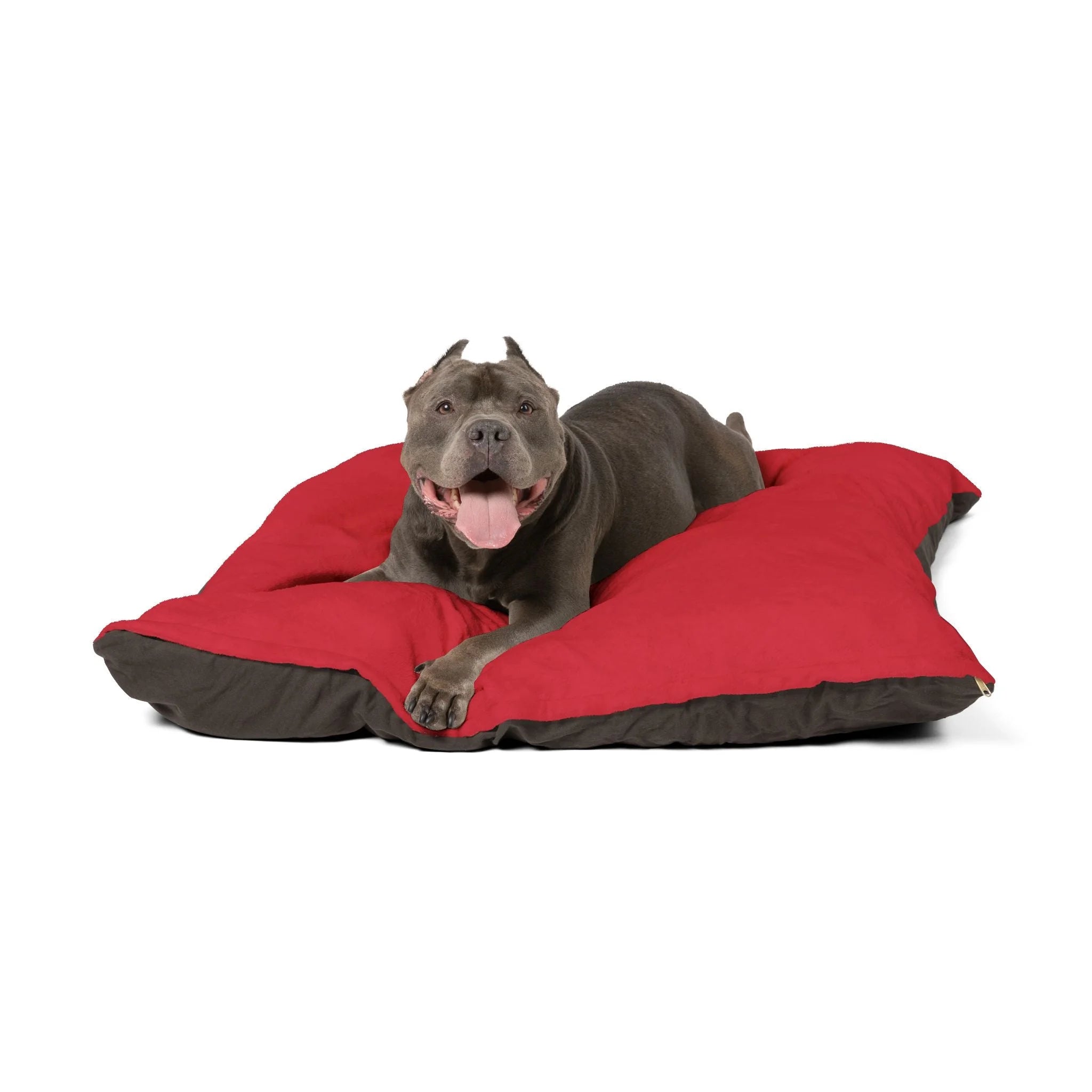 Buy The Best By Artsulli x Color Printify - Pet Bed - 2026