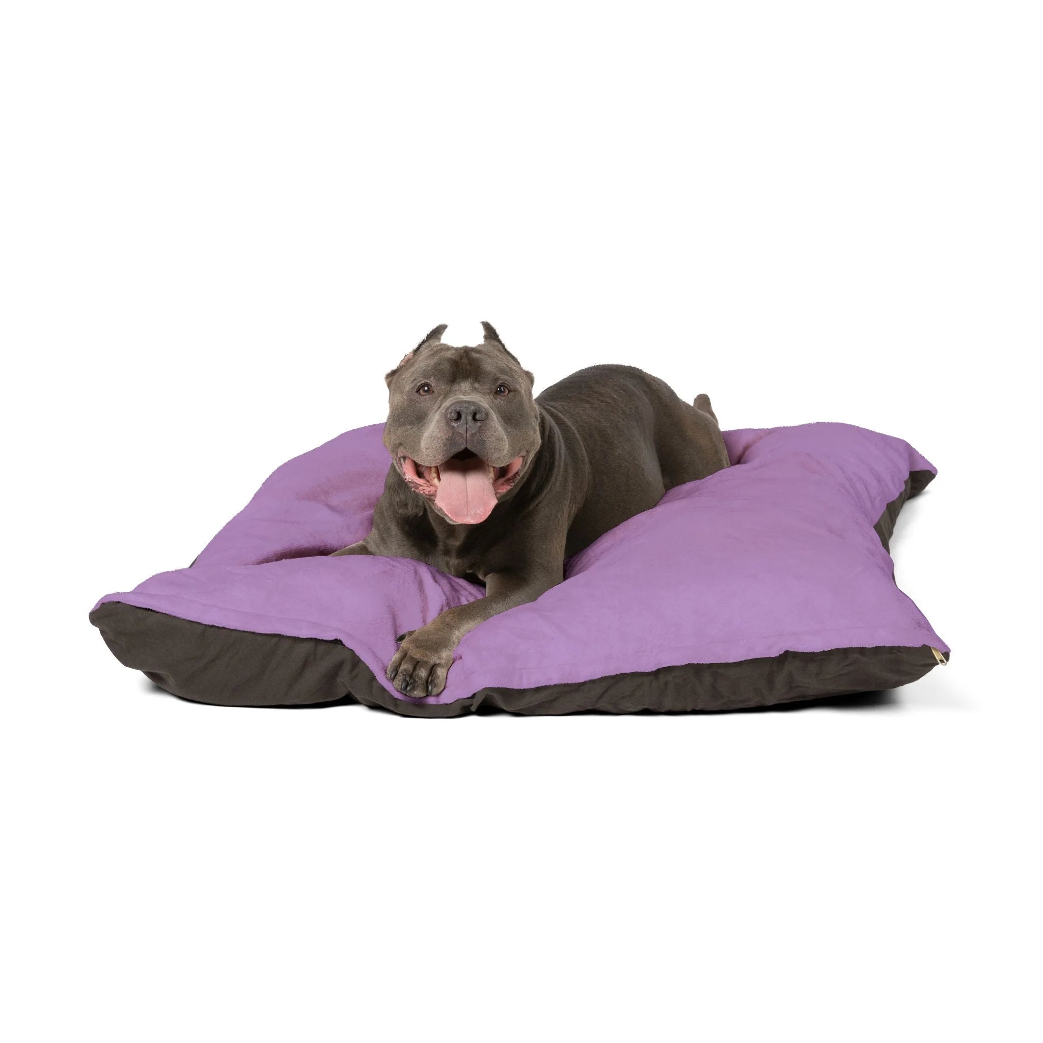 Buy The Best By Printify - Pet Bed - 2026