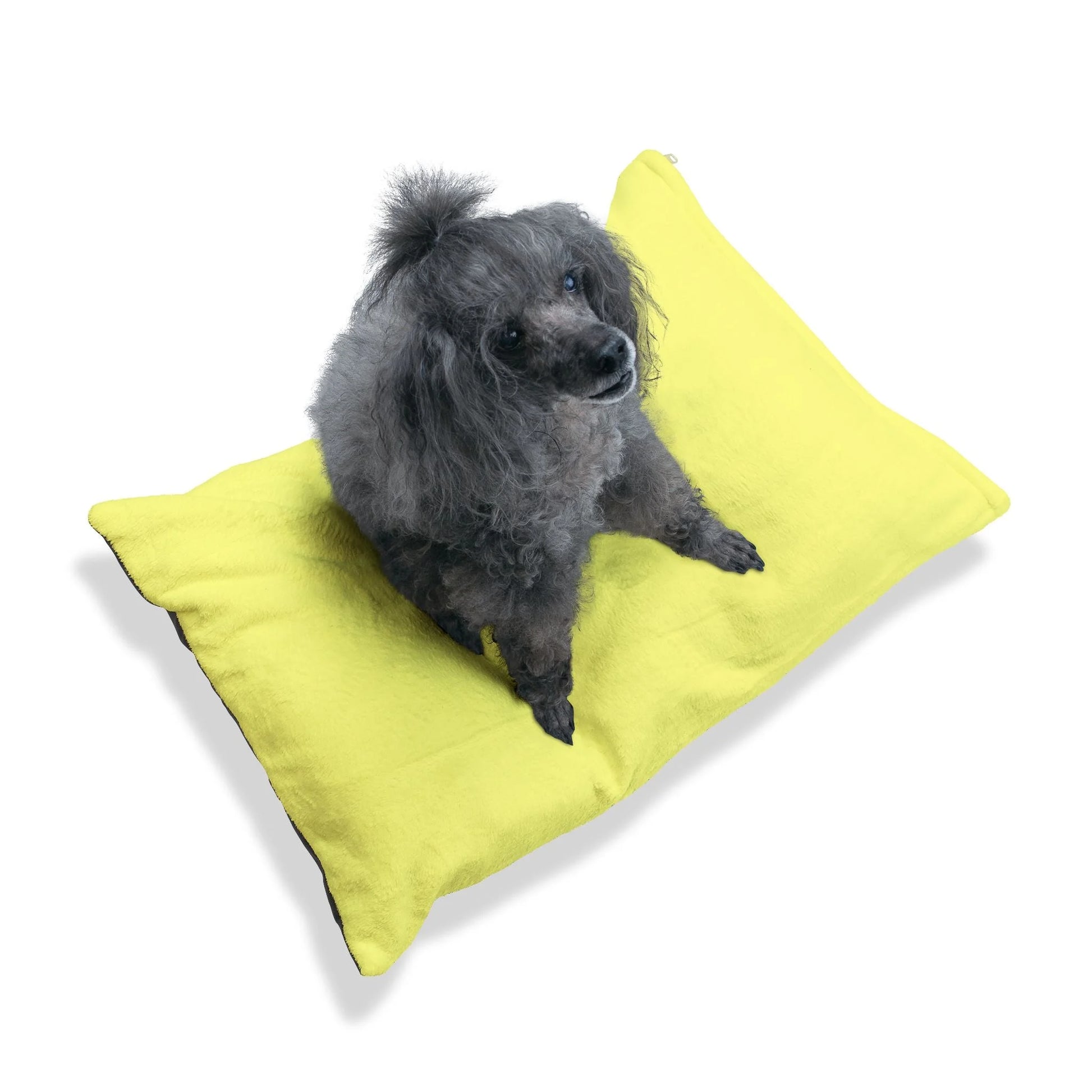 Buy The Best By Artsulli x Color Printify - Pet Bed - 2026