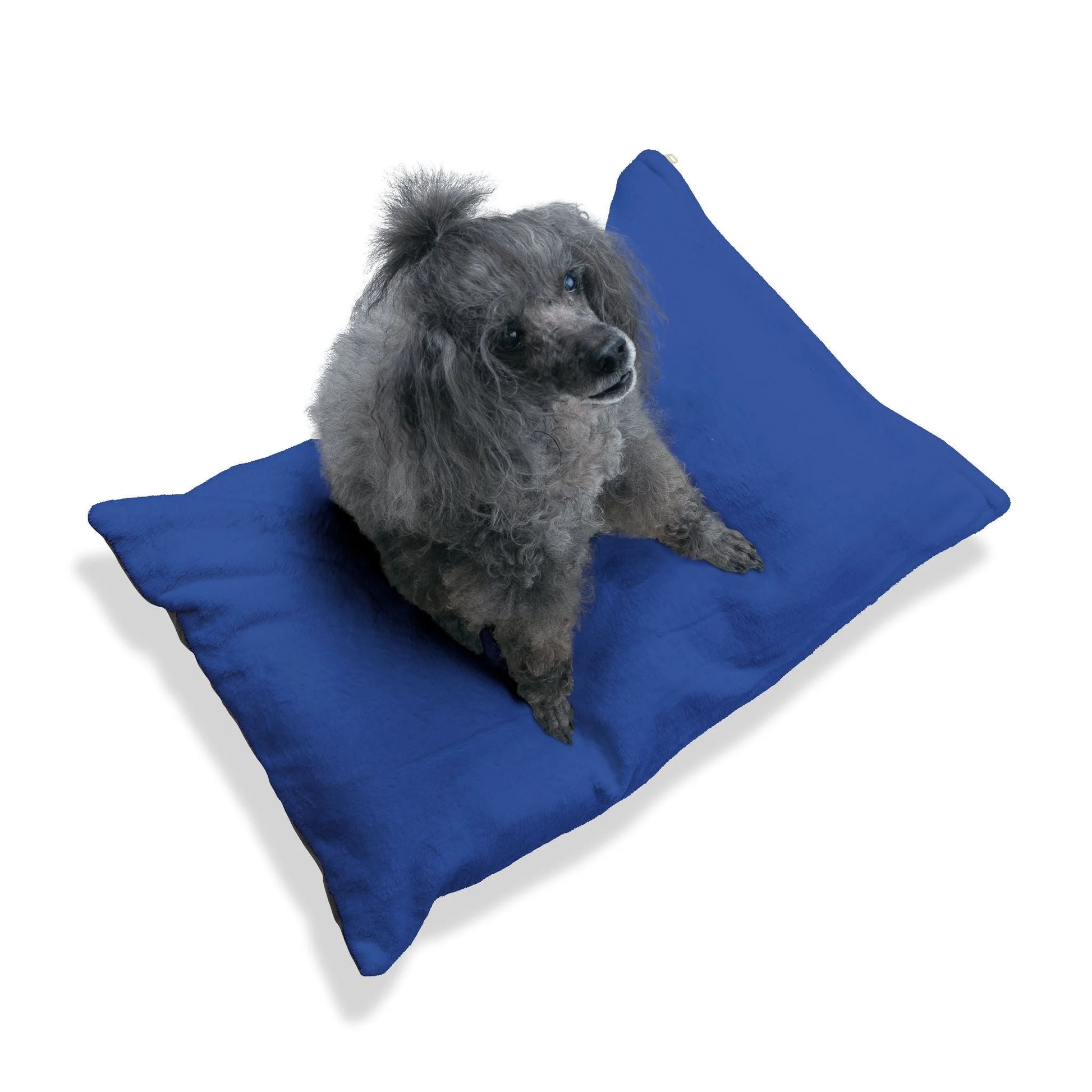 Buy The Best By Artsulli x Color Printify - Pet Bed - 2026