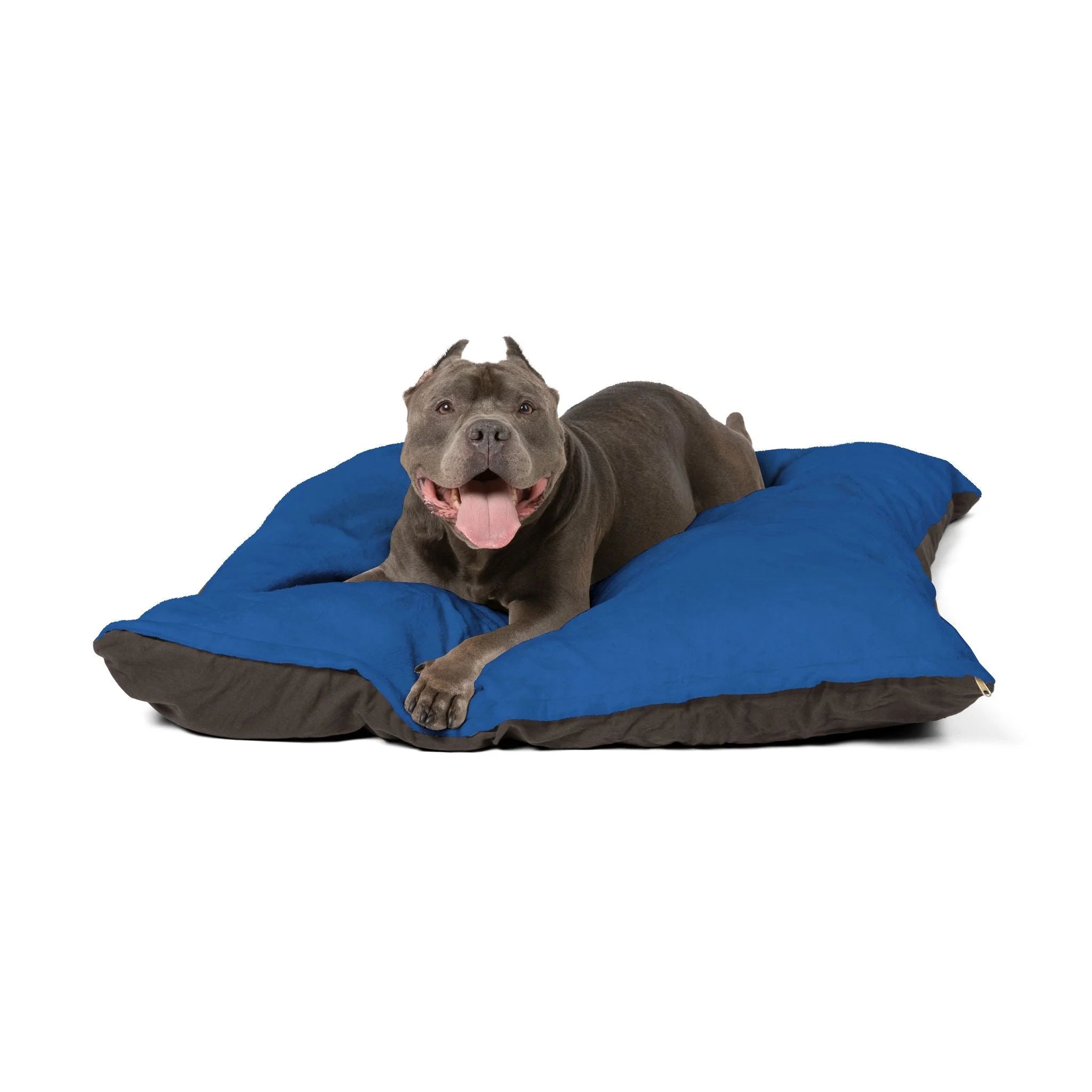 Buy The Best By Artsulli x Color Printify - Pet Bed - 2026