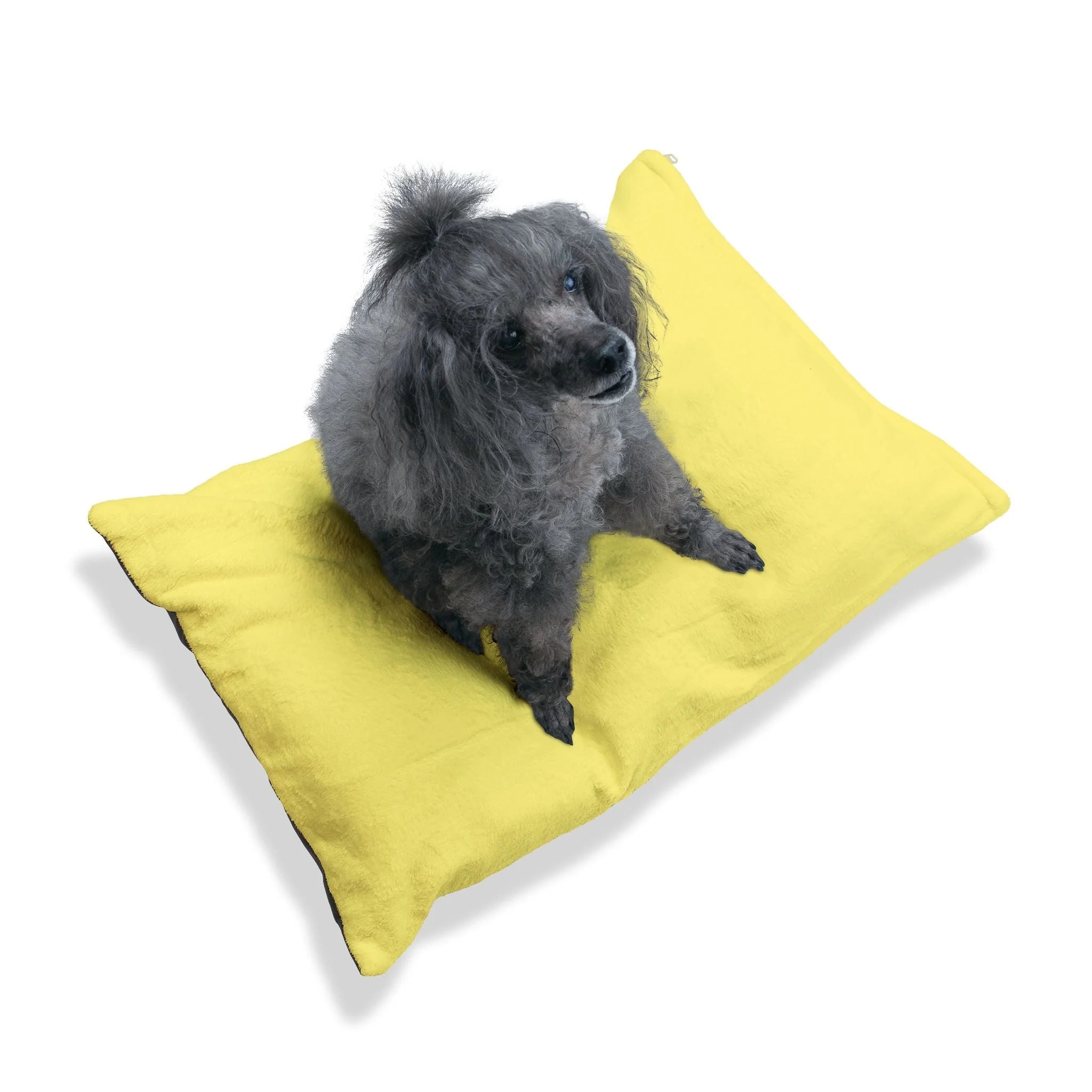 Buy The Best By Artsulli x Color Printify - Pet Bed - 2026