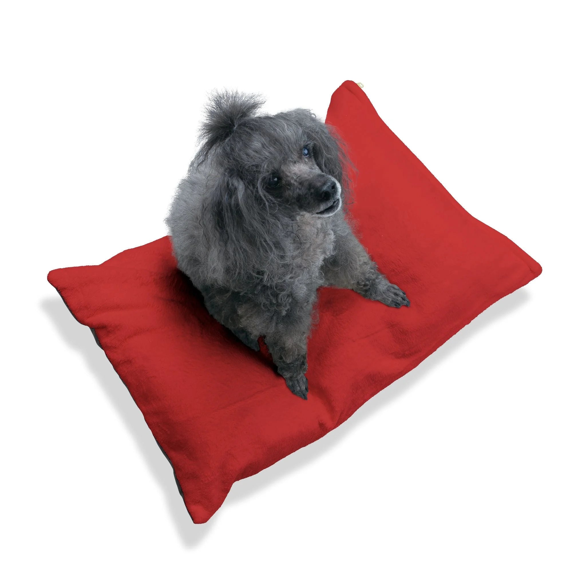 Buy The Best By Artsulli x Color Printify - Pet Bed - 2026