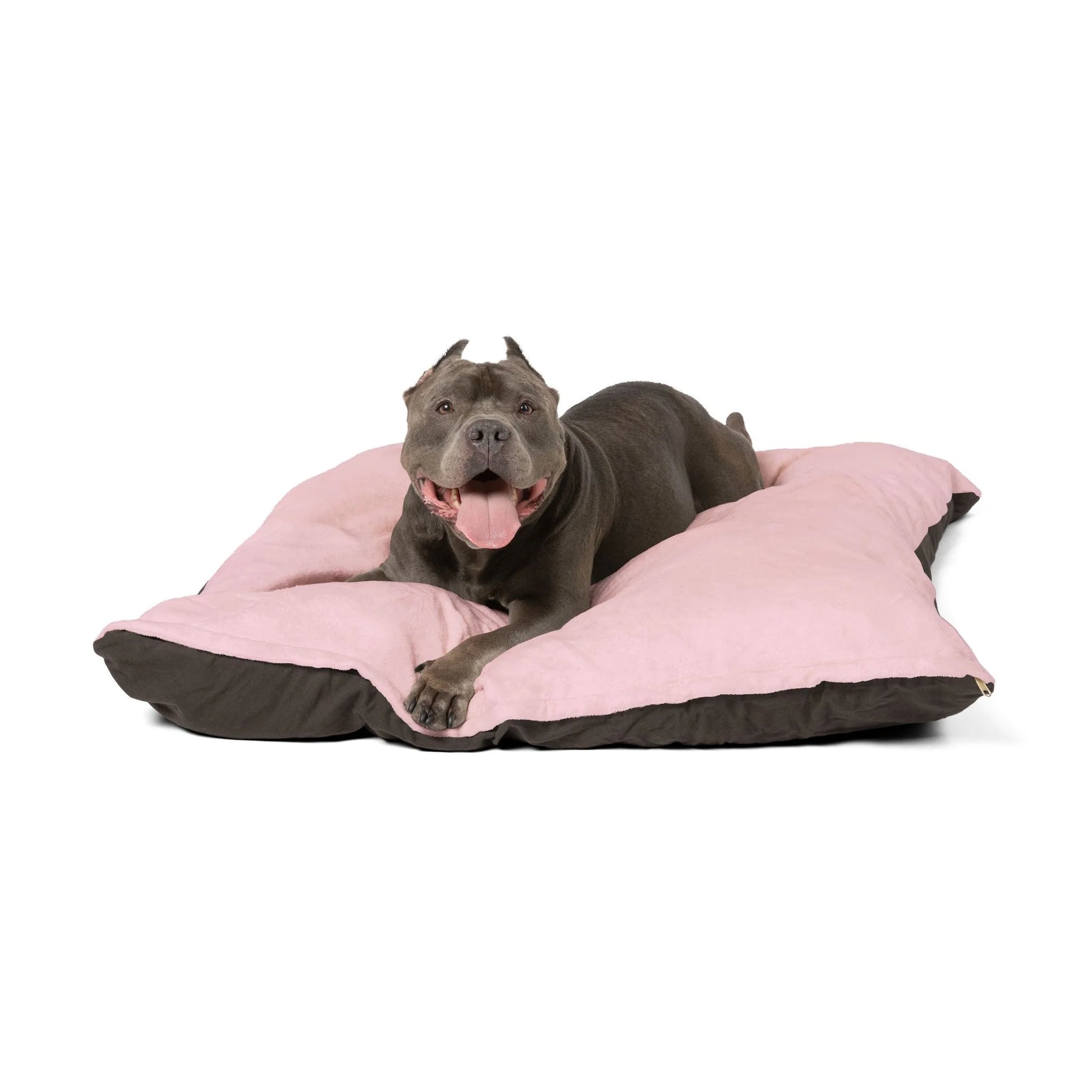 Buy The Best By Printify - Pet Bed - 2026