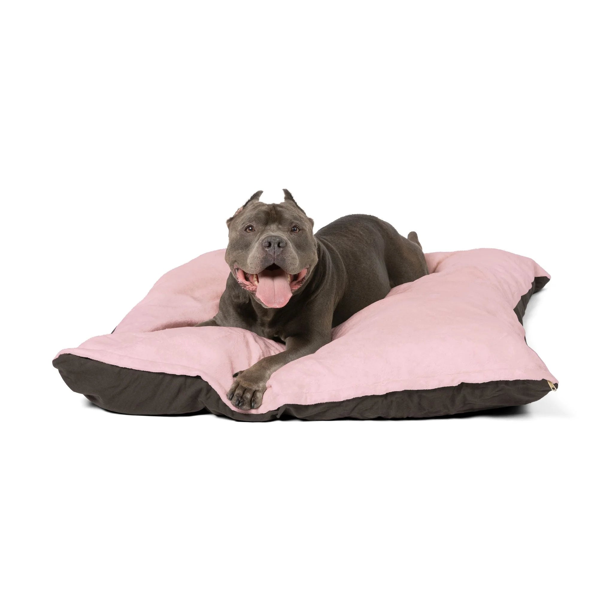 Buy The Best By Printify - Pet Bed - 2026