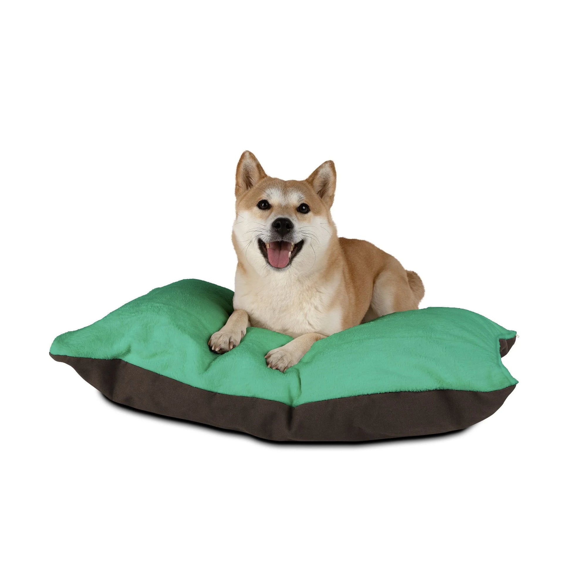 Buy The Best By Artsulli x Color Printify - Pet Bed - 2026