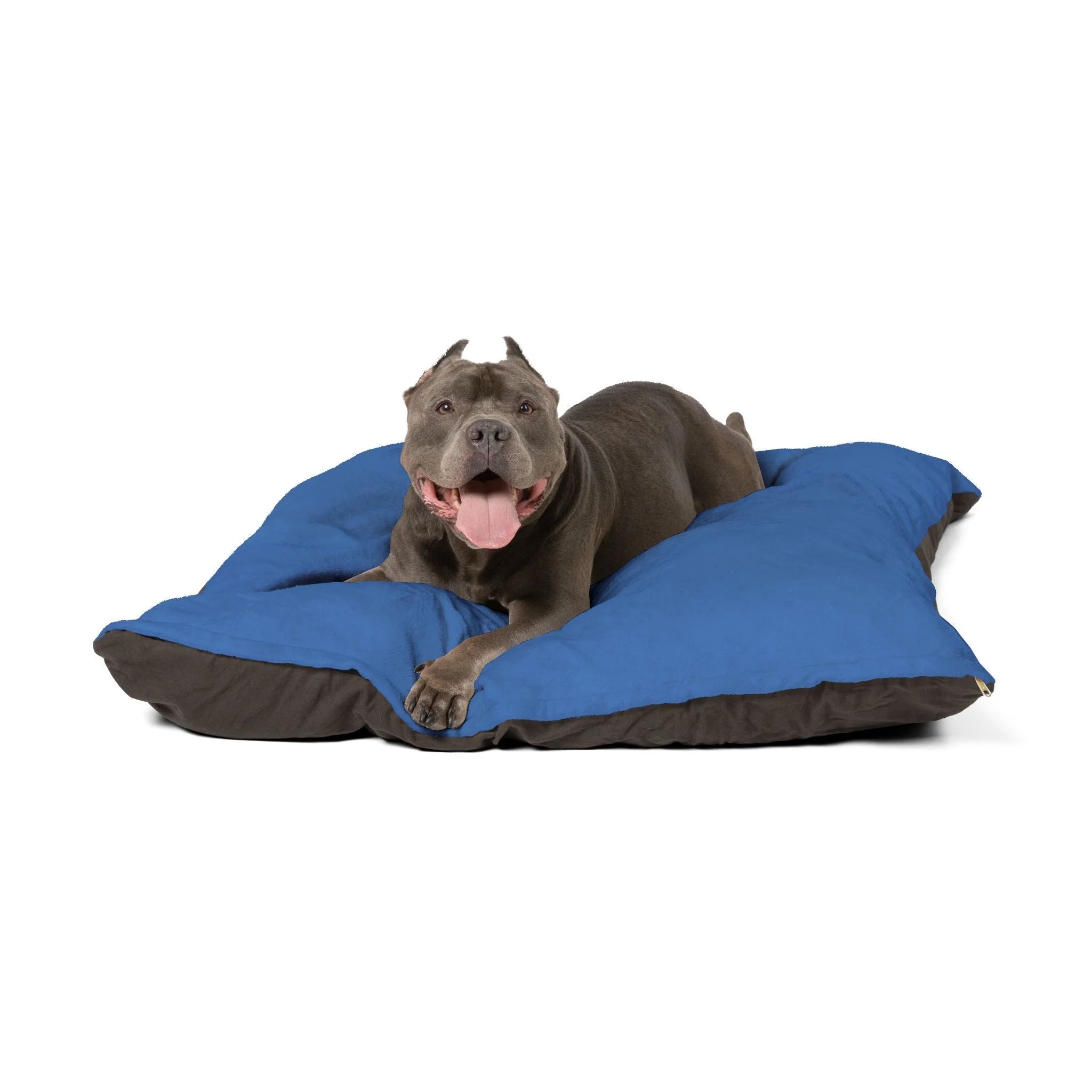 Buy The Best By Artsulli x Color Printify - Pet Bed - 2026