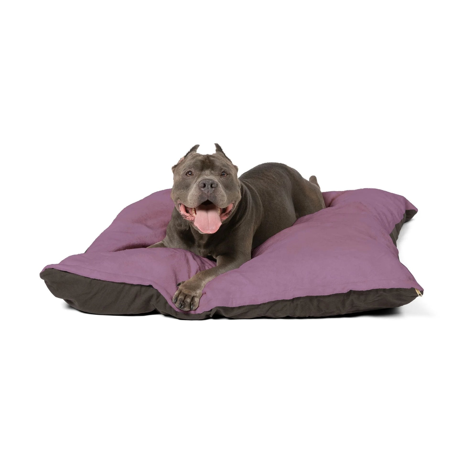 Buy The Best By Printify - Pet Bed - 2026