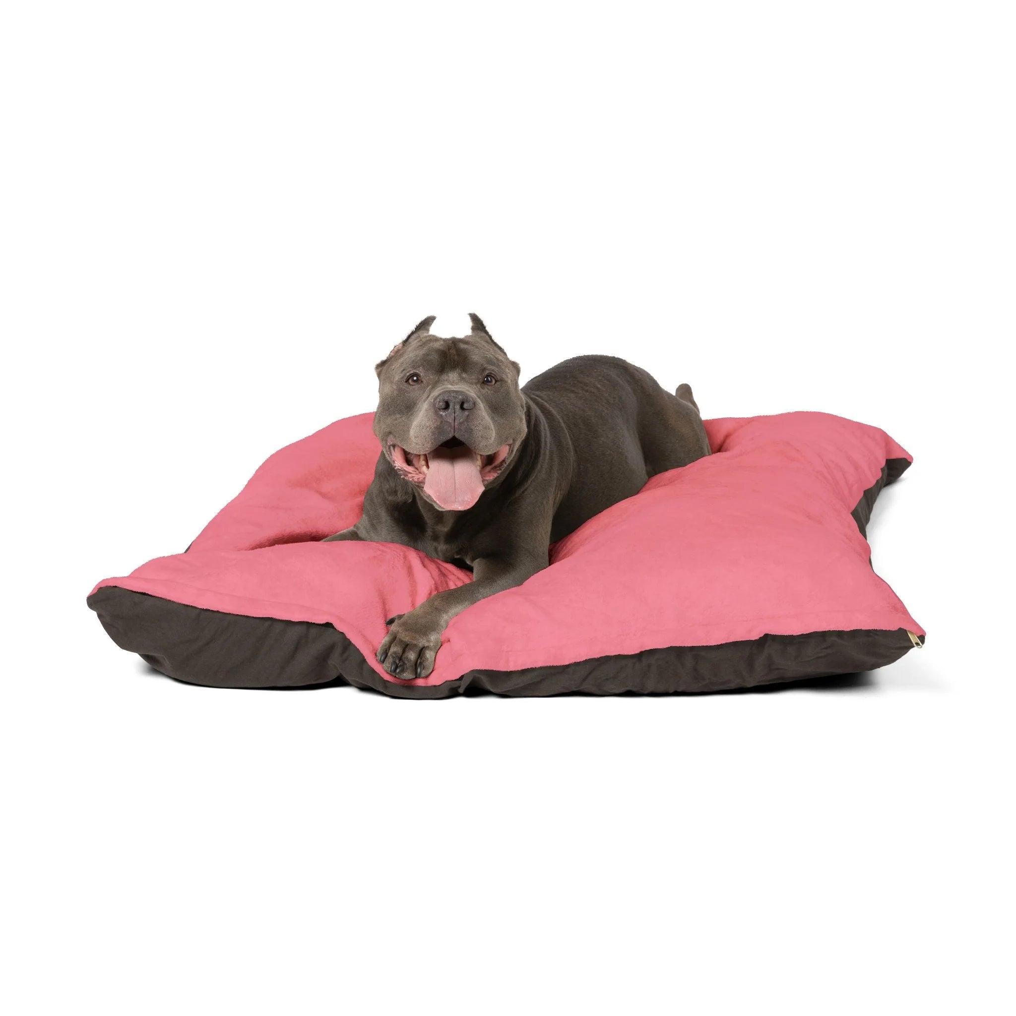 Buy The Best By Artsulli x Color Printify - Pet Bed - 2026