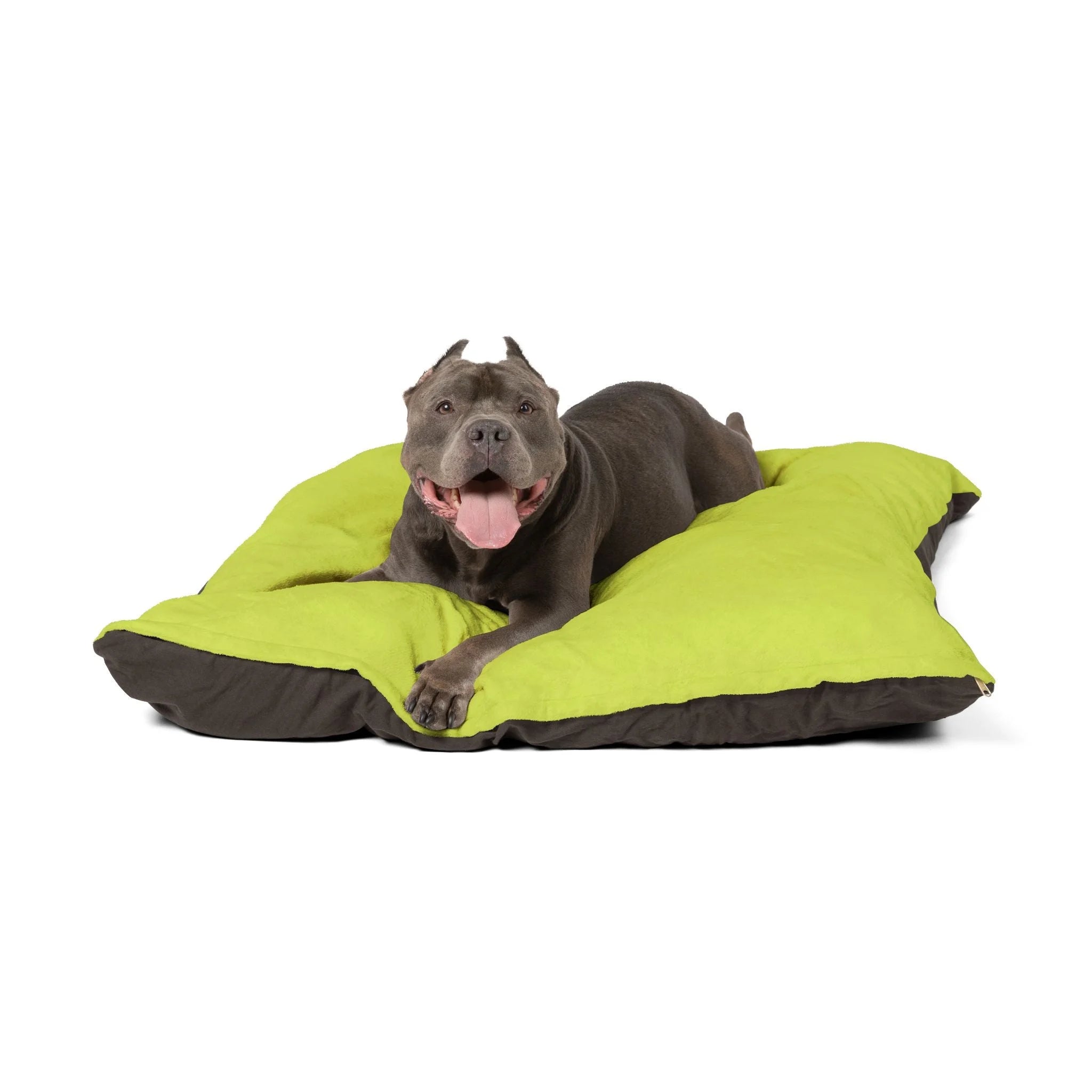 Buy The Best By Artsulli x Color Printify - Pet Bed - 2026
