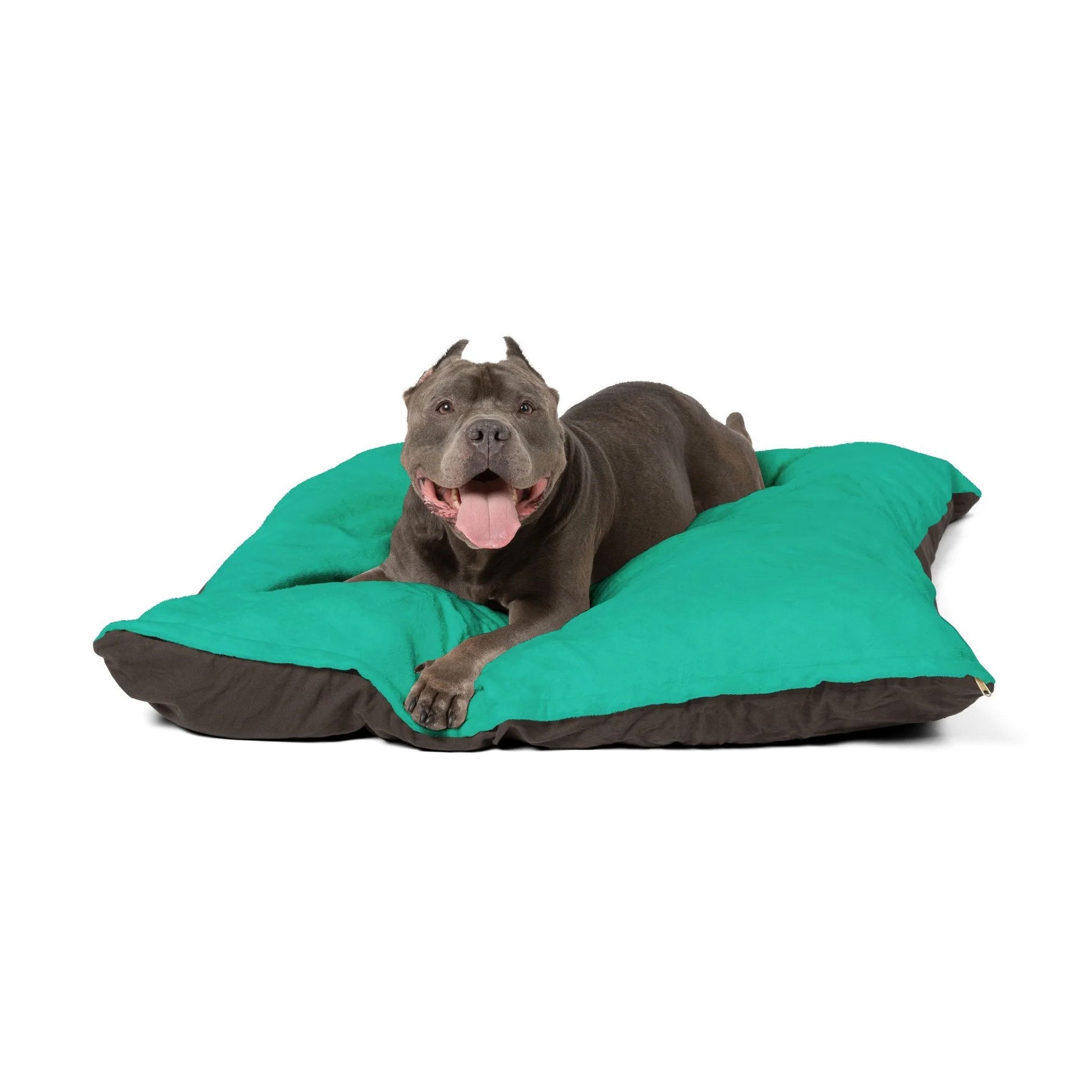 Buy The Best By Artsulli x Color Printify - Pet Bed - 2026