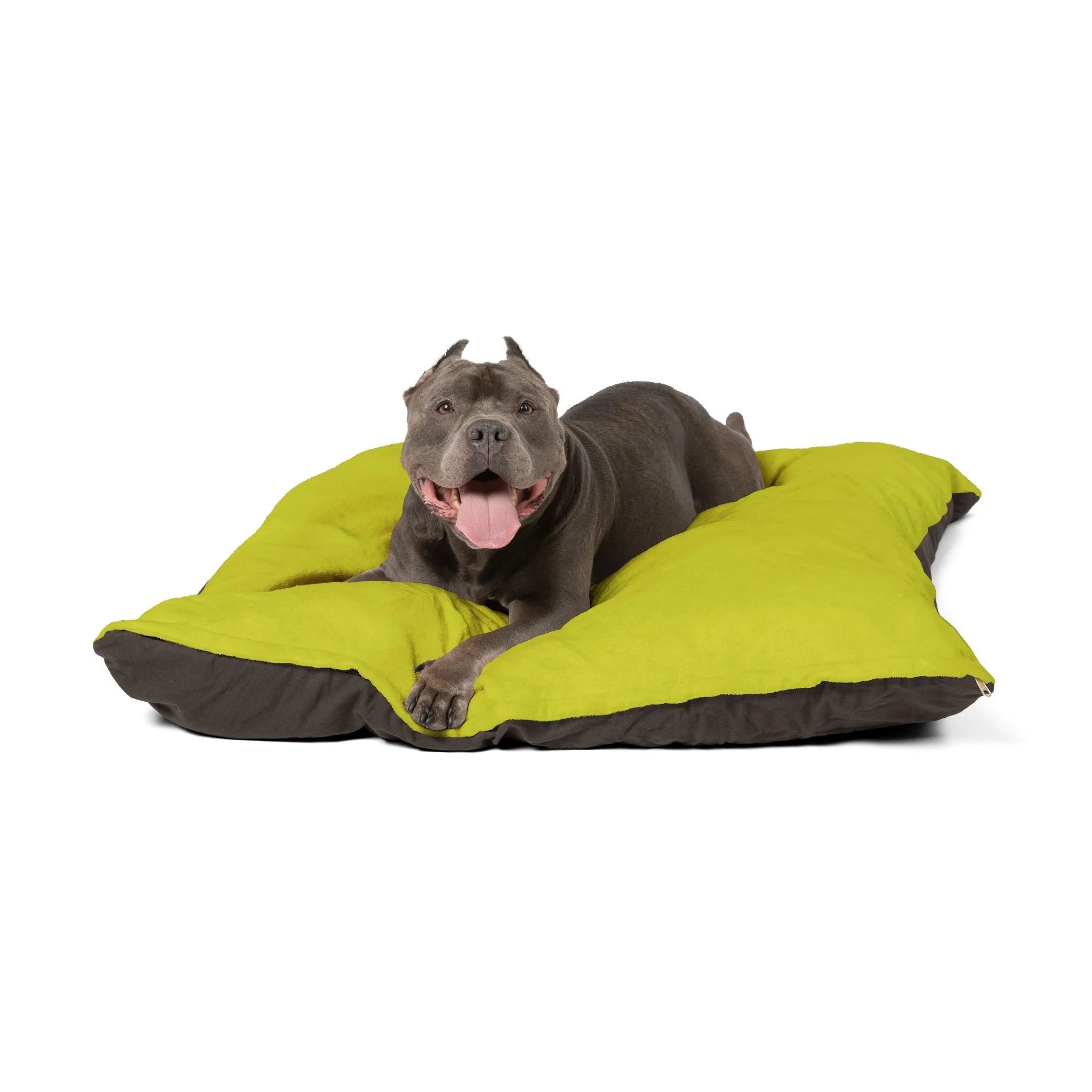 Buy The Best By Printify - Pet Bed - 2026