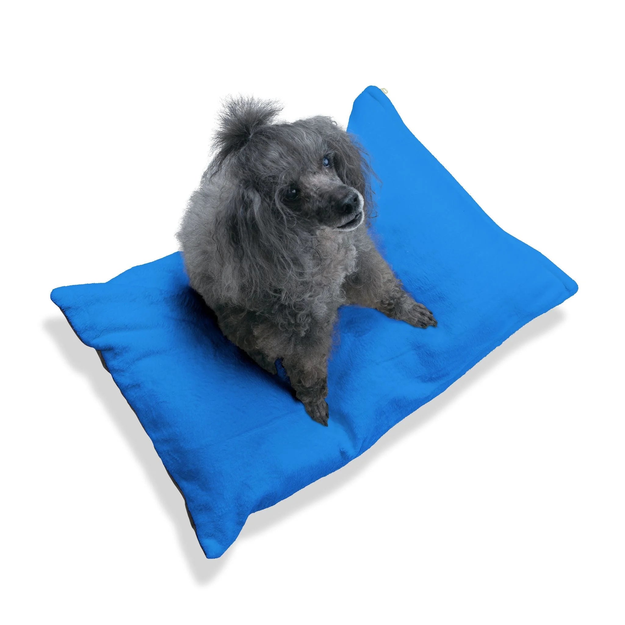 Buy The Best By Artsulli x Color Printify - Pet Bed - 2026