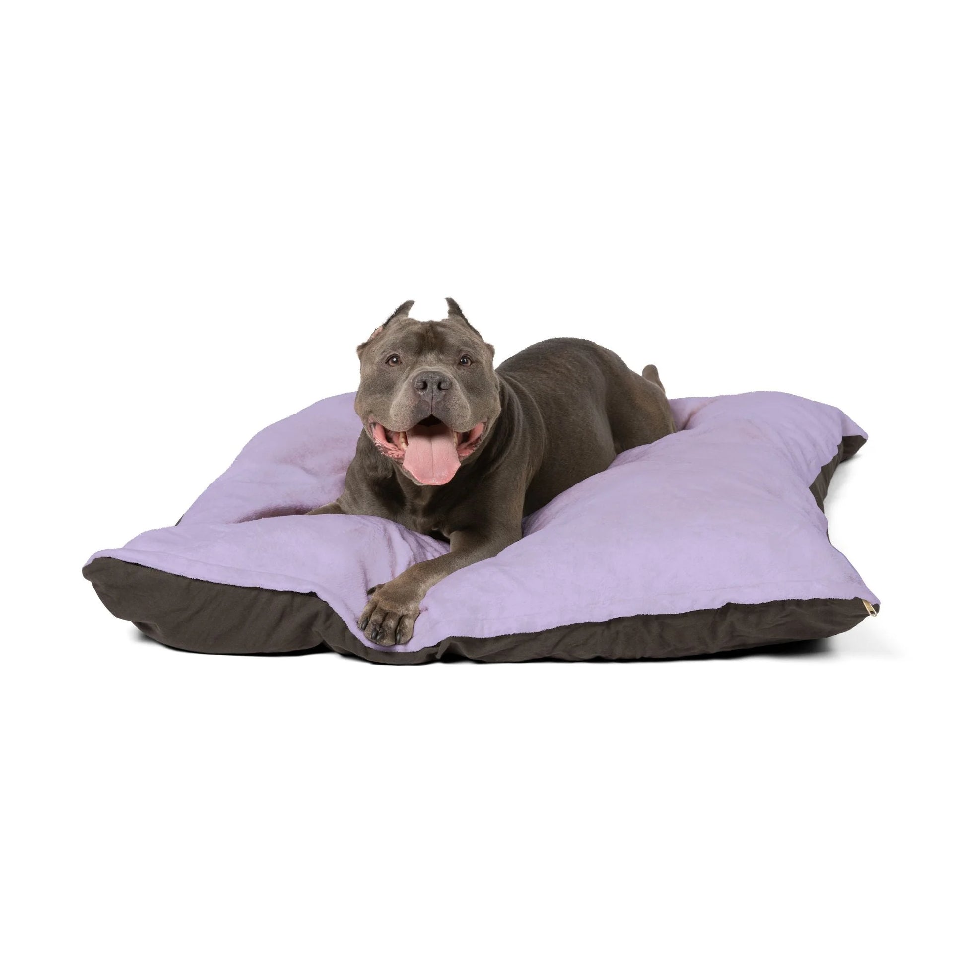 Buy The Best By Artsulli x Color Printify - Pet Bed - 2026