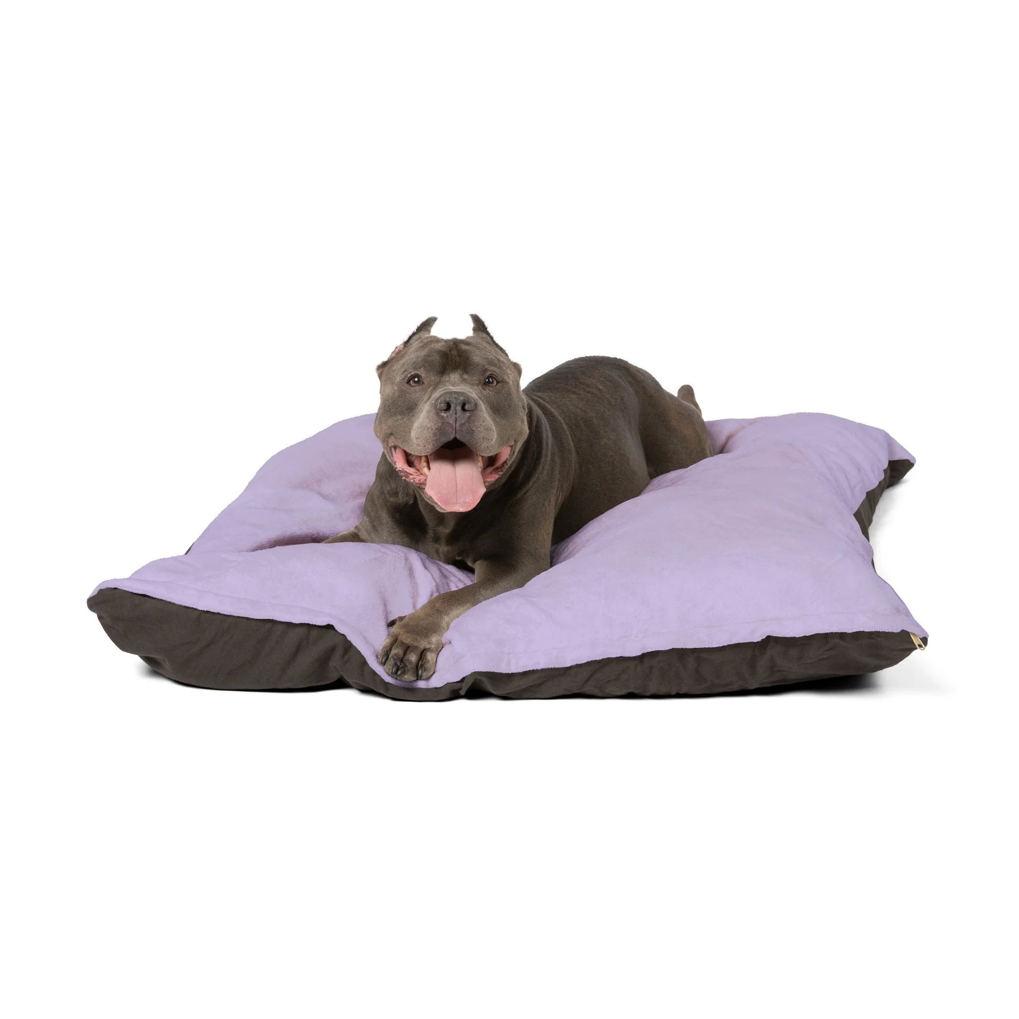 Buy The Best By Artsulli x Color Printify - Pet Bed - 2026