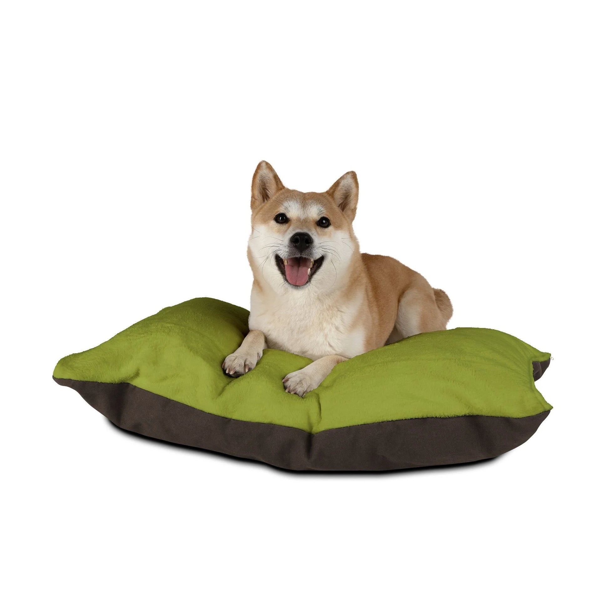 Buy The Best By Artsulli x Color Printify - Pet Bed - 2026
