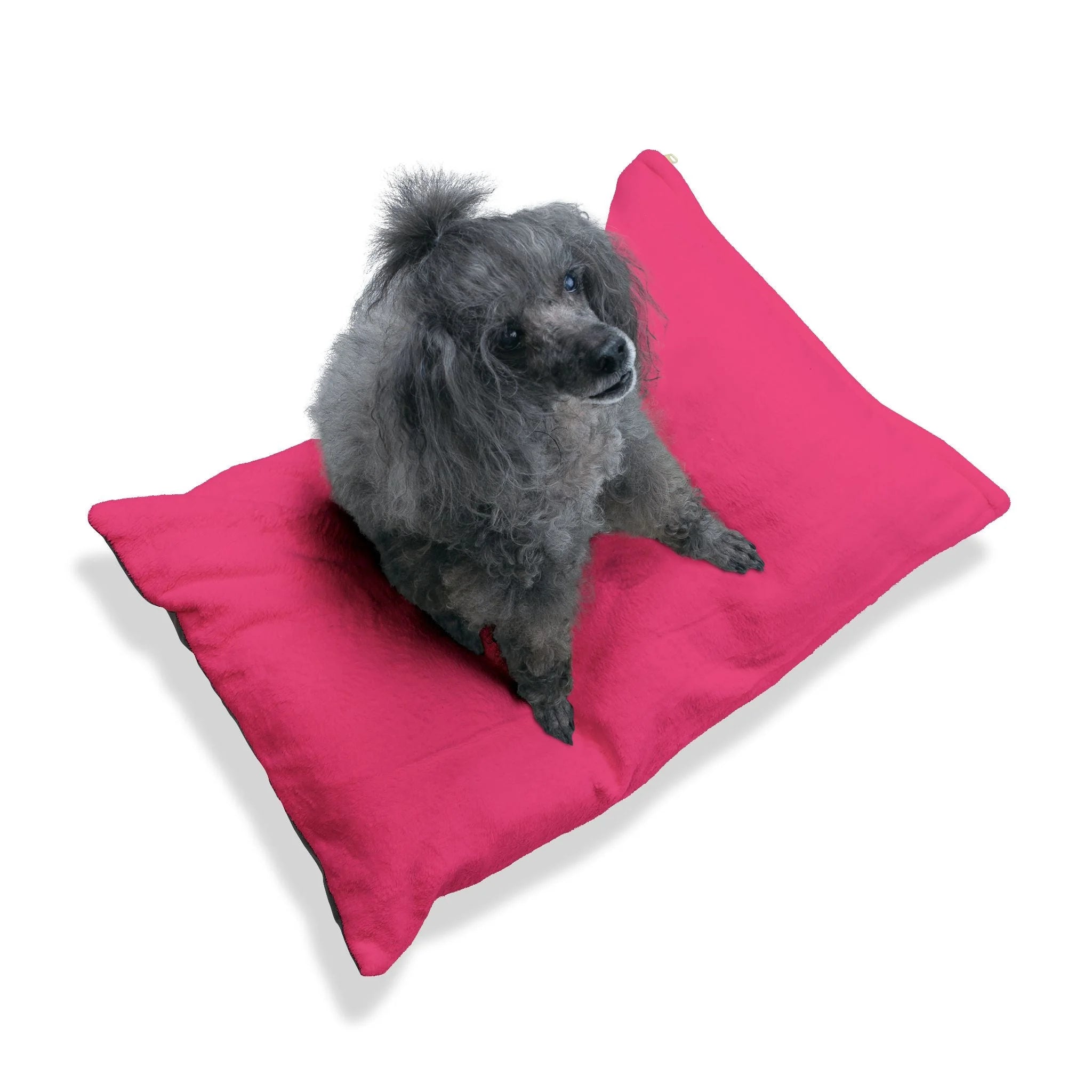 Buy The Best By Artsulli x Color Printify - Pet Bed - 2026