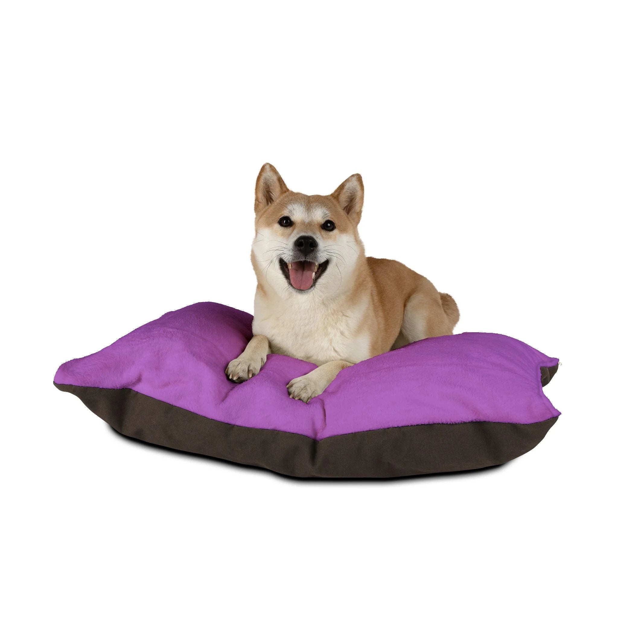 Buy The Best By Artsulli x Color Printify - Pet Bed - 2026