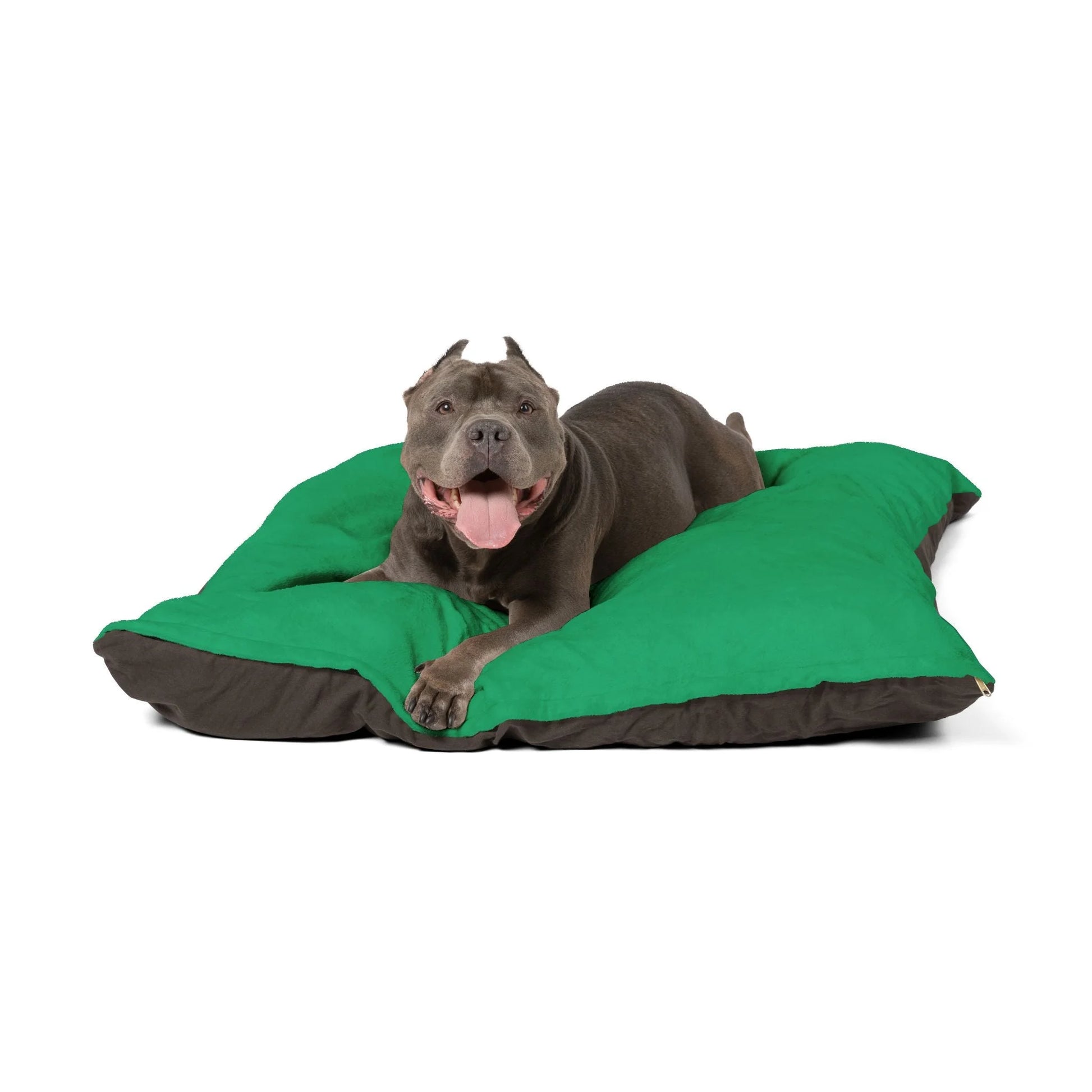 Buy The Best By Artsulli x Color Printify - Pet Bed - 2026
