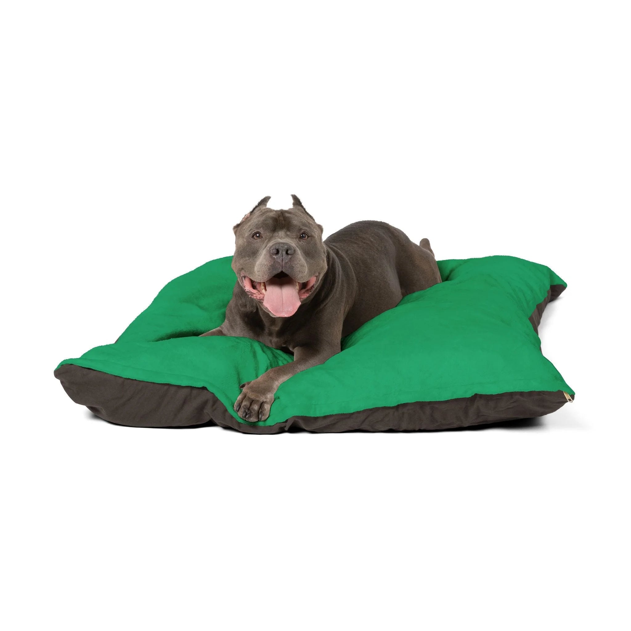Buy The Best By Artsulli x Color Printify - Pet Bed - 2026