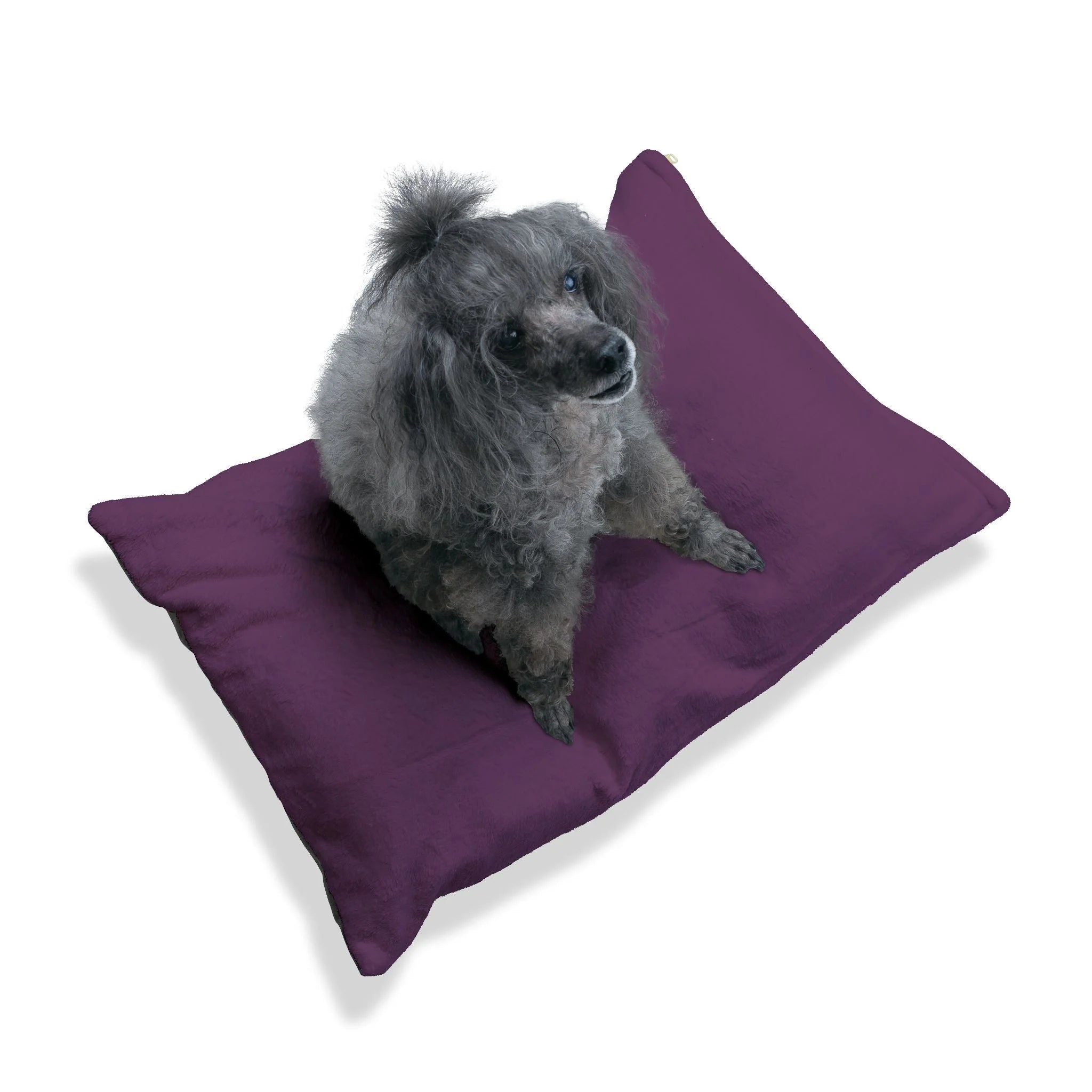 Buy The Best By Artsulli x Color Printify - Pet Bed - 2026