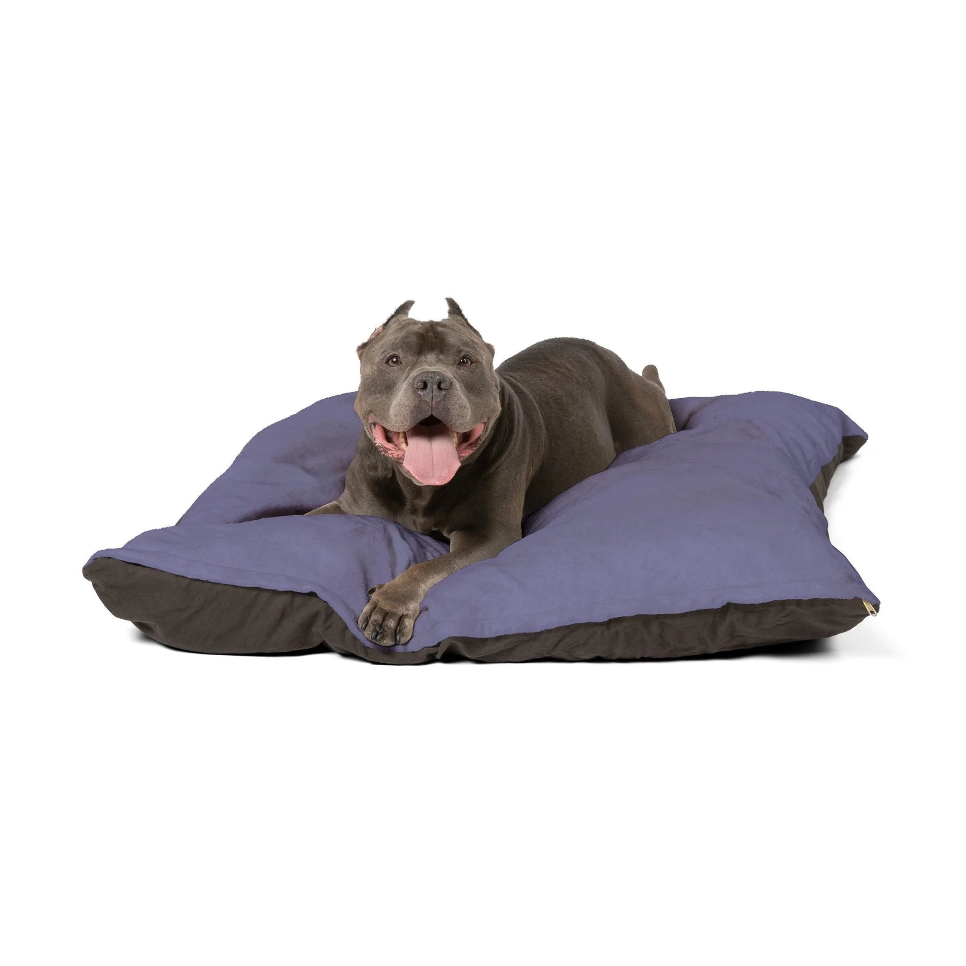 Buy The Best By Printify - Pet Bed - 2026