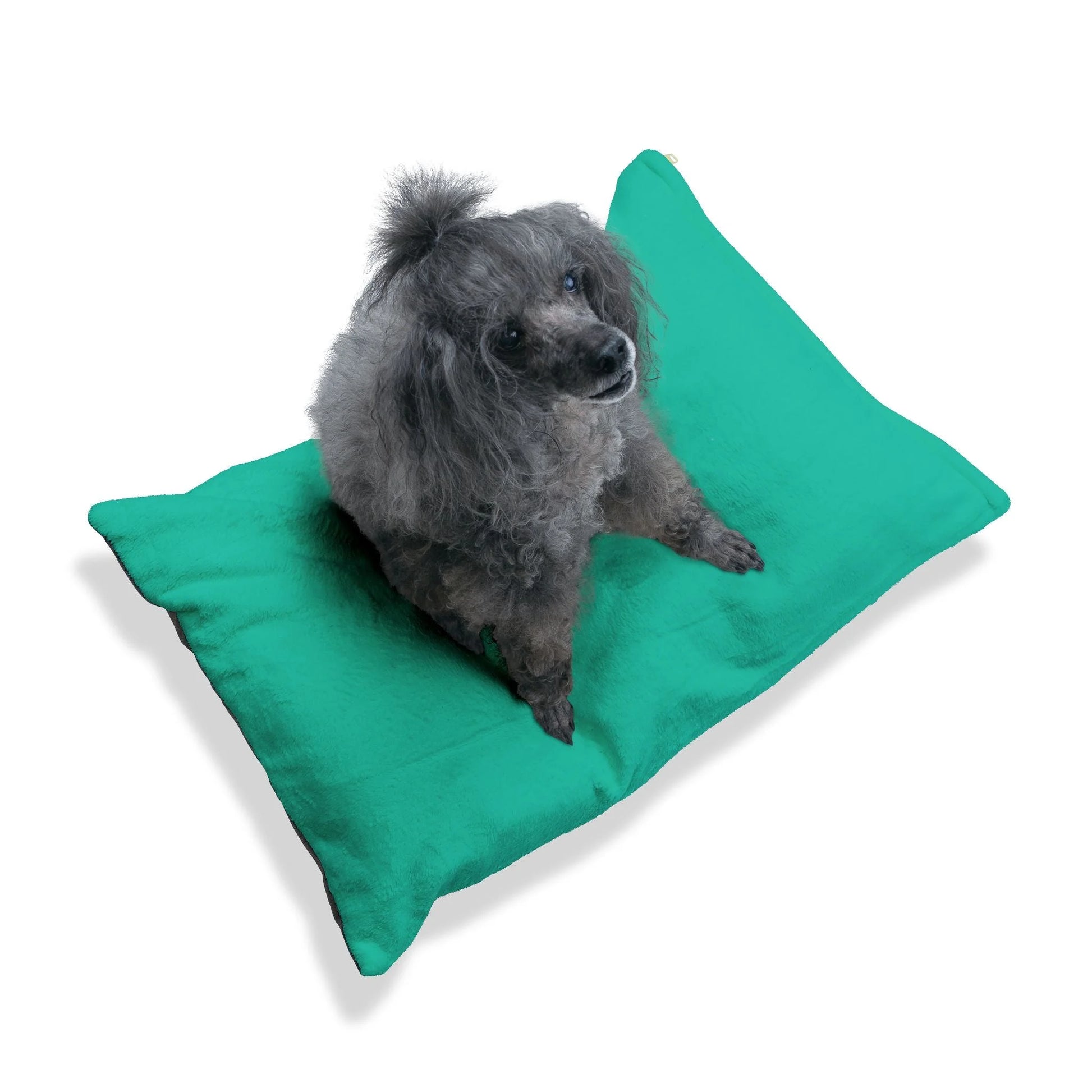 Buy The Best By Artsulli x Color Printify - Pet Bed - 2026