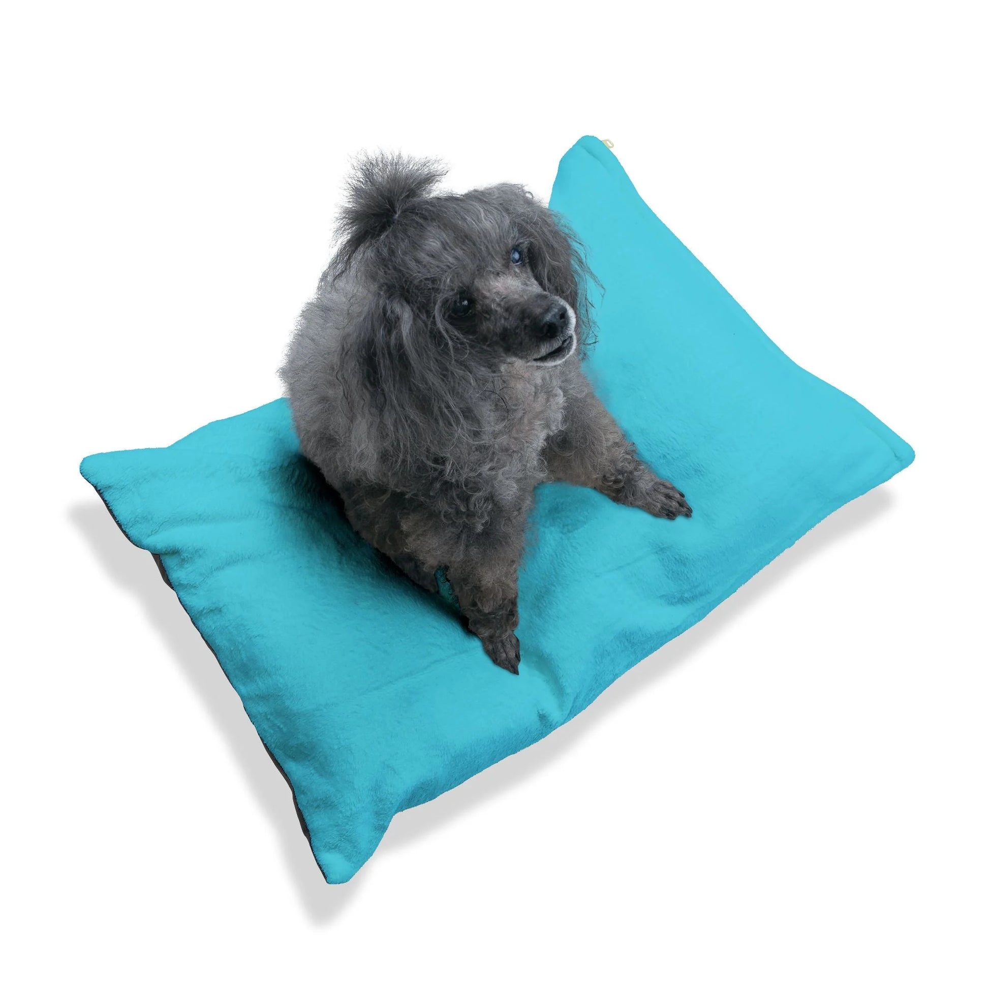 Buy The Best By Artsulli x Color Printify - Pet Bed - 2026