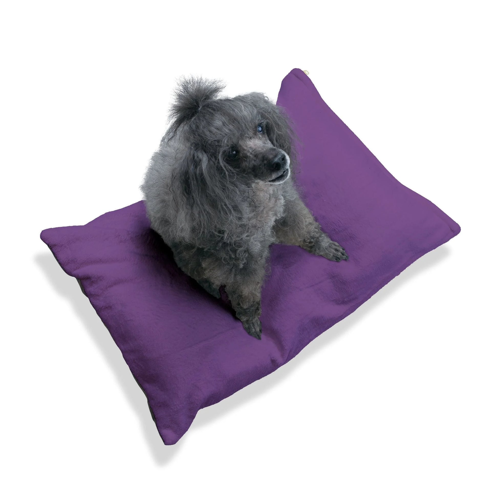Buy The Best By Artsulli x Color Printify - Pet Bed - 2026