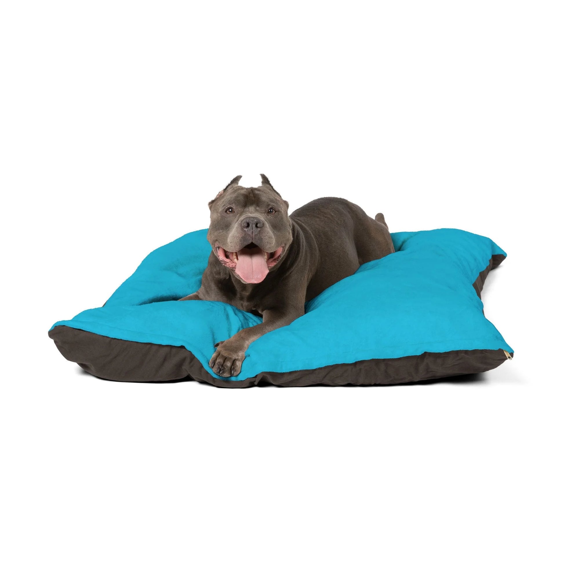 Buy The Best By Artsulli x Color Printify - Pet Bed - 2026