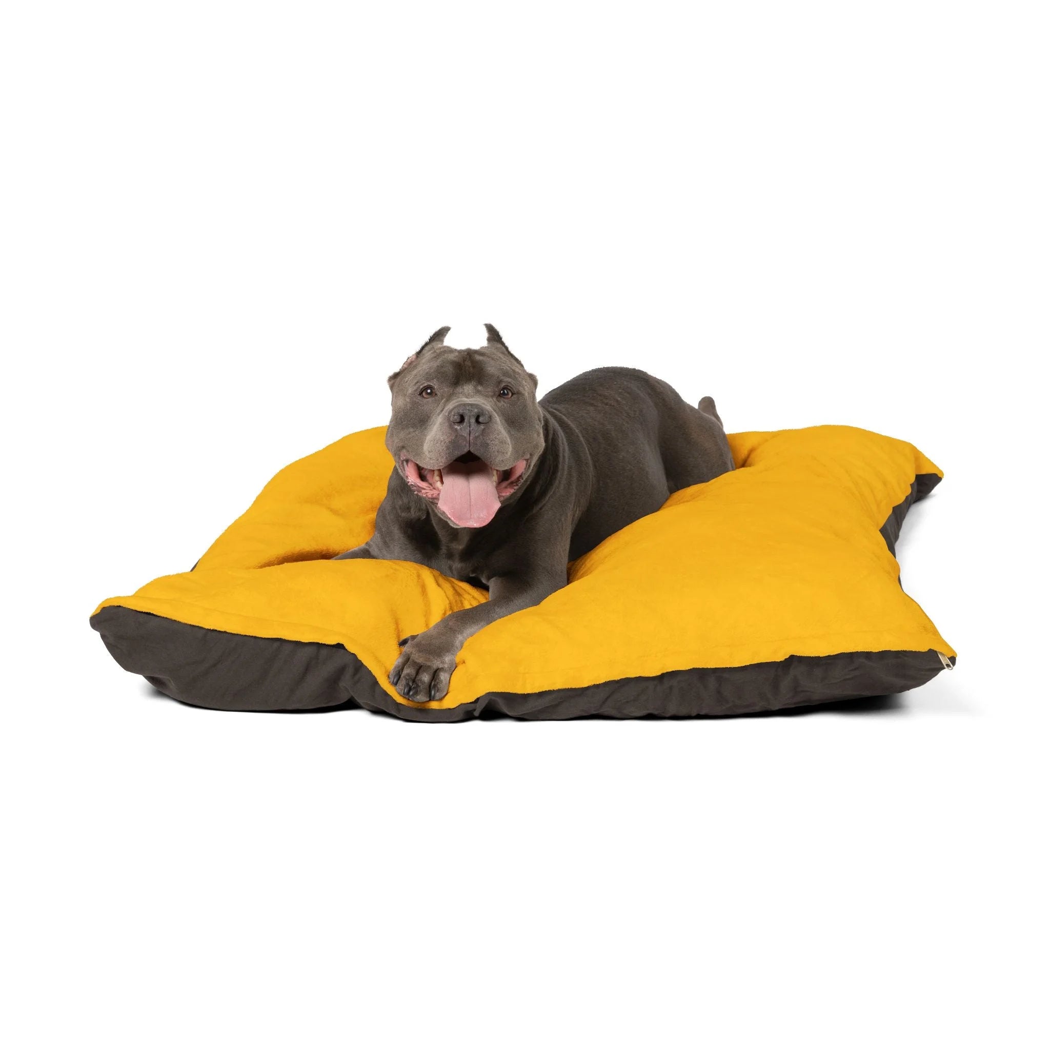 Buy The Best By Artsulli x Color Printify - Pet Bed - 2026