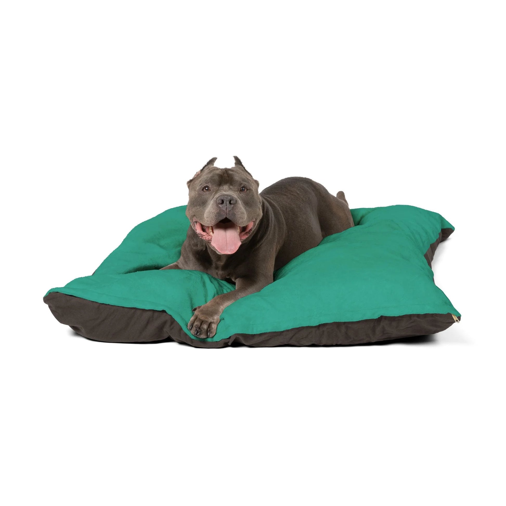 Buy The Best By Artsulli x Color Printify - Pet Bed - 2026