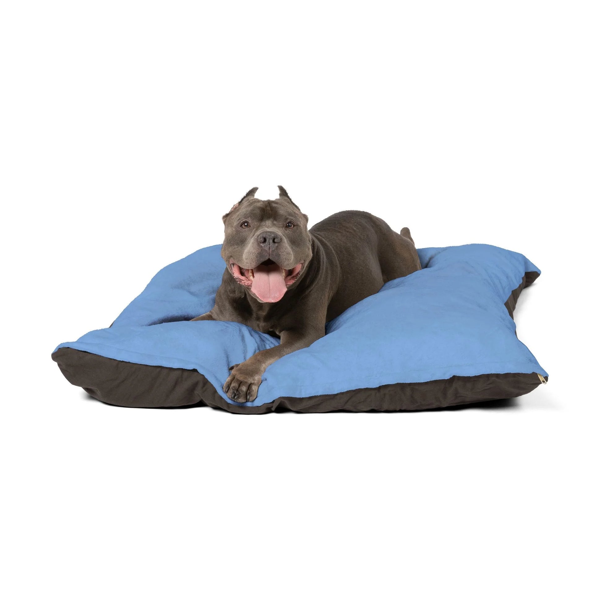 Buy The Best By Artsulli x Color Printify - Pet Bed - 2026