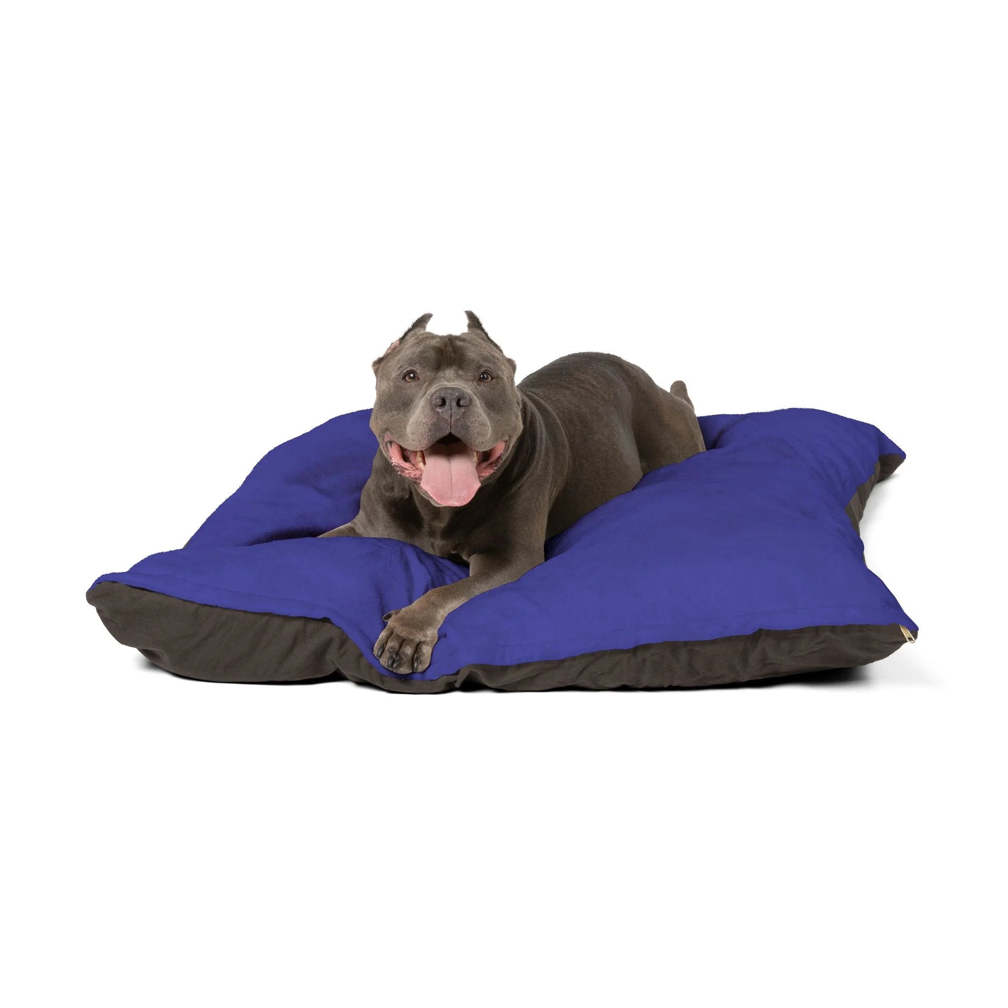 Buy The Best By Artsulli x Color Printify - Pet Bed - 2026