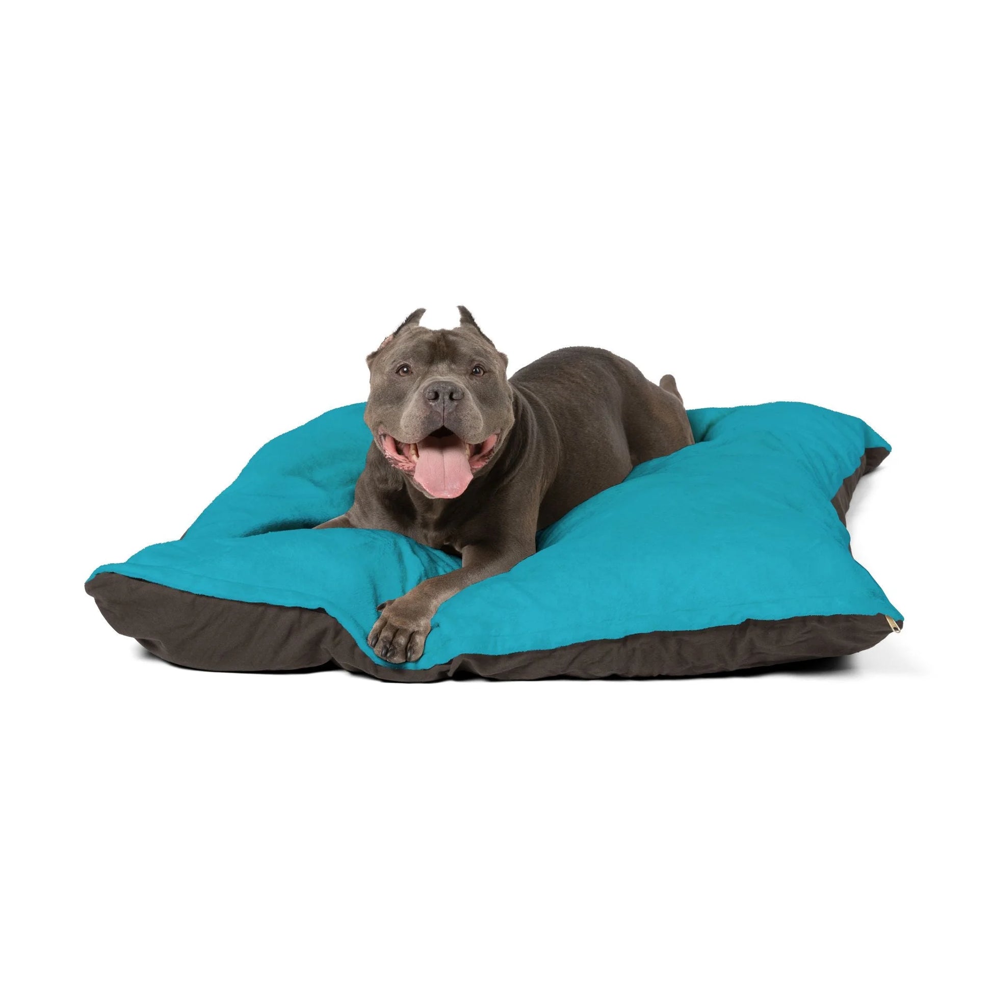 Buy The Best By Artsulli x Color Printify - Pet Bed - 2026
