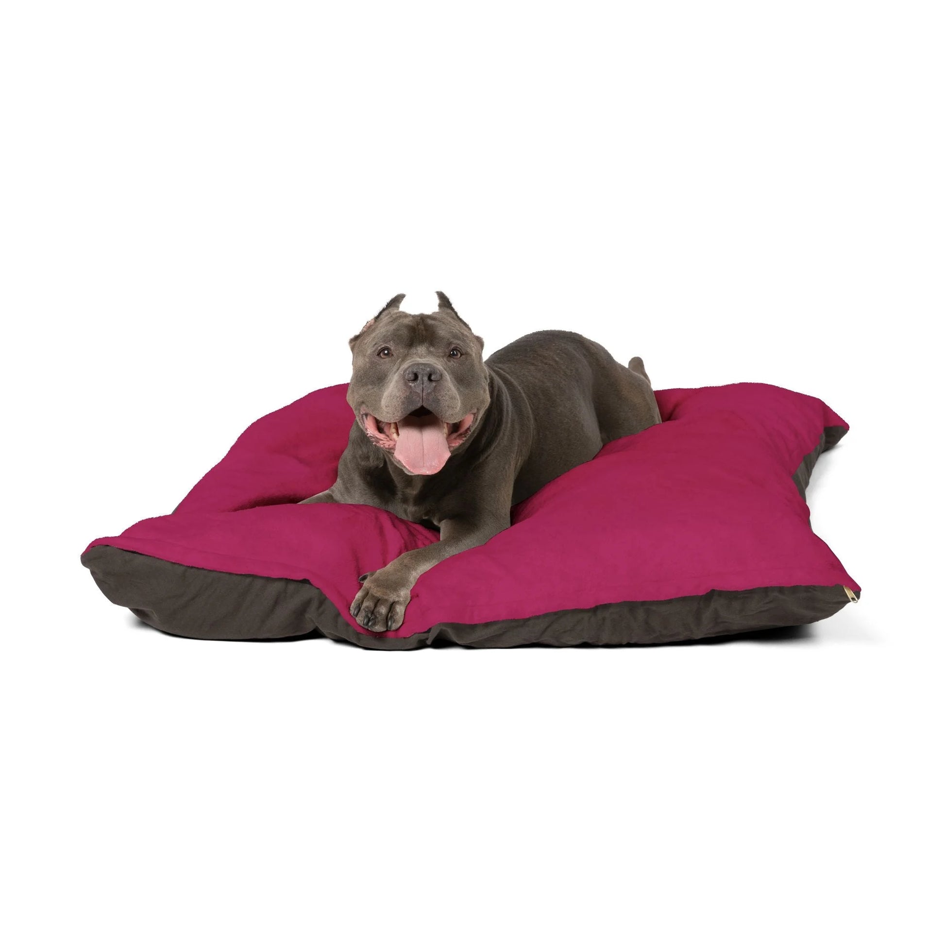 Buy The Best By Artsulli x Color Printify - Pet Bed - 2026