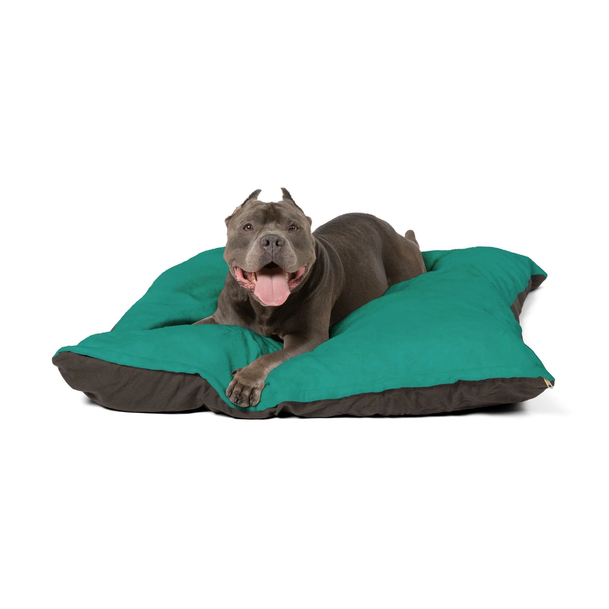 Buy The Best By Artsulli x Color Printify - Pet Bed - 2026