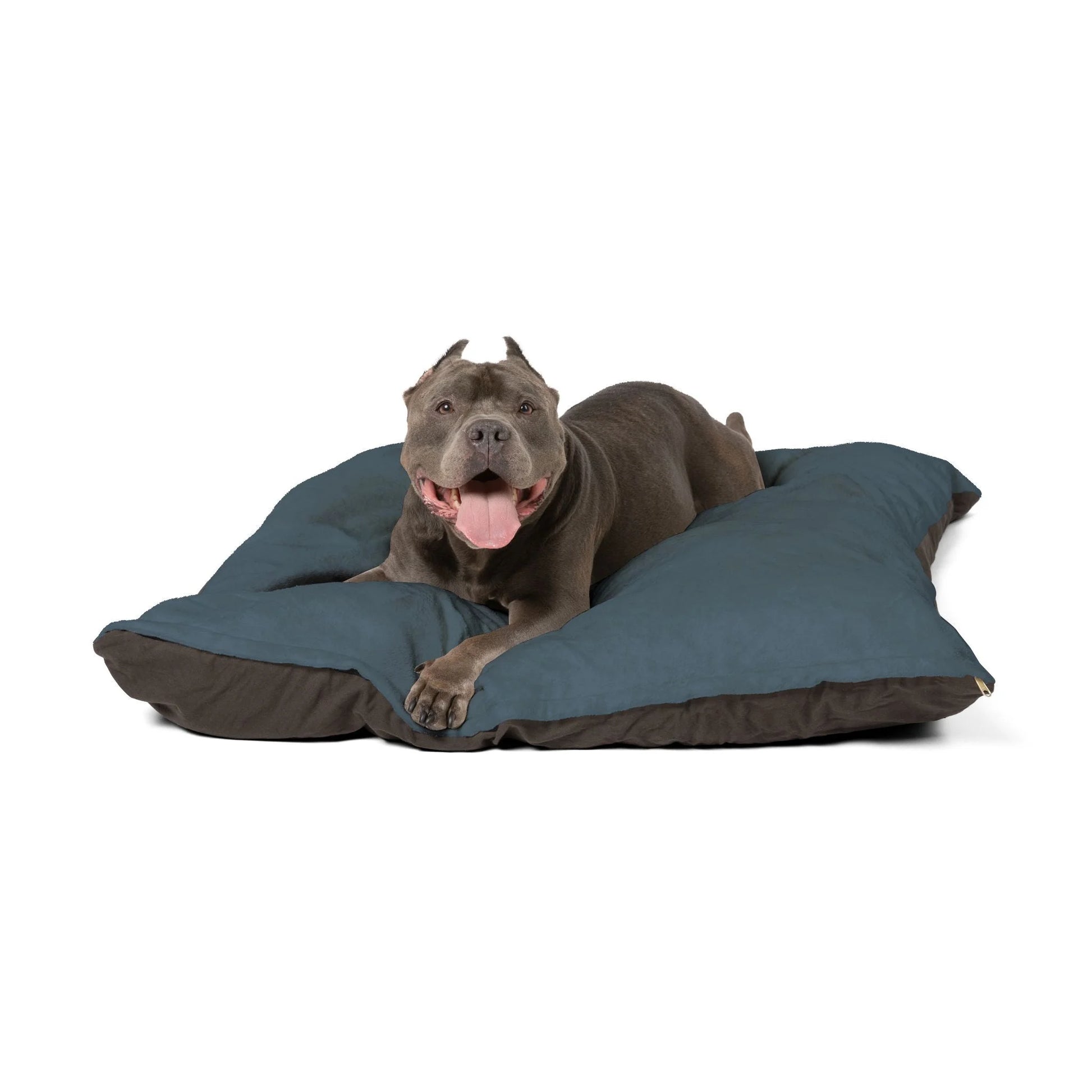 Buy The Best By Artsulli x Color Printify - Pet Bed - 2026
